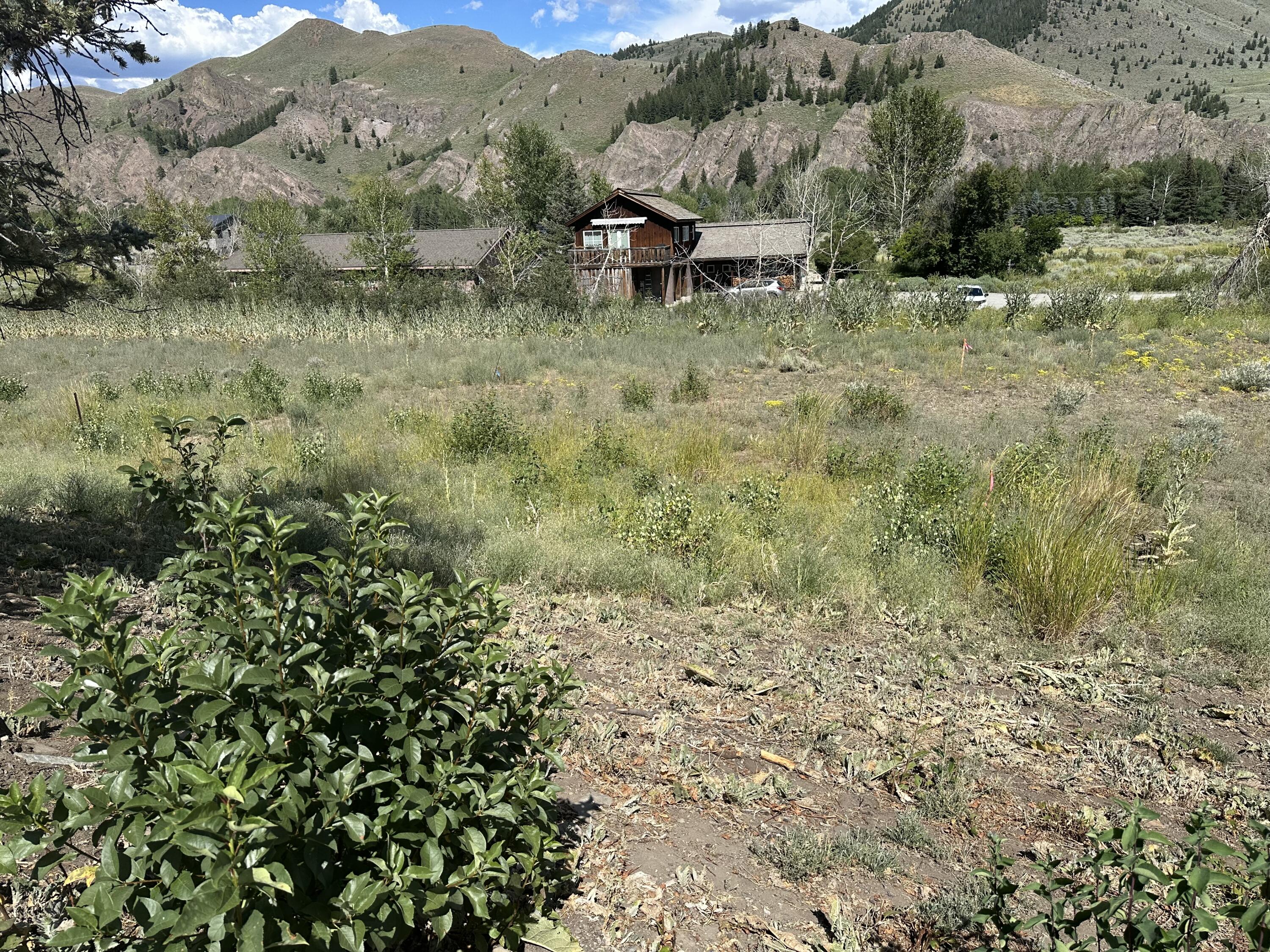 12531 N Highway 75 Property Photo 8
