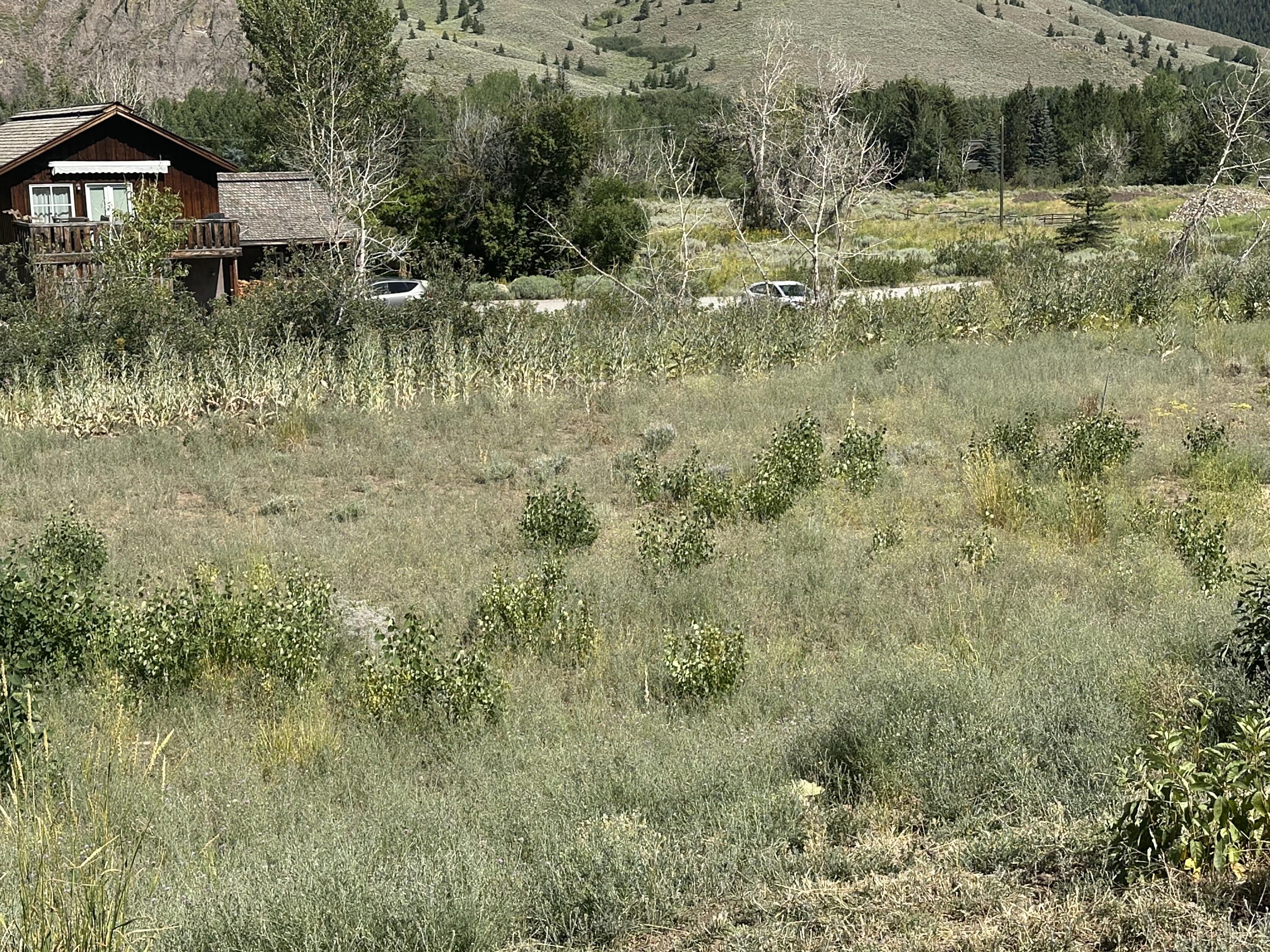 12531 N Highway 75 Property Photo 9
