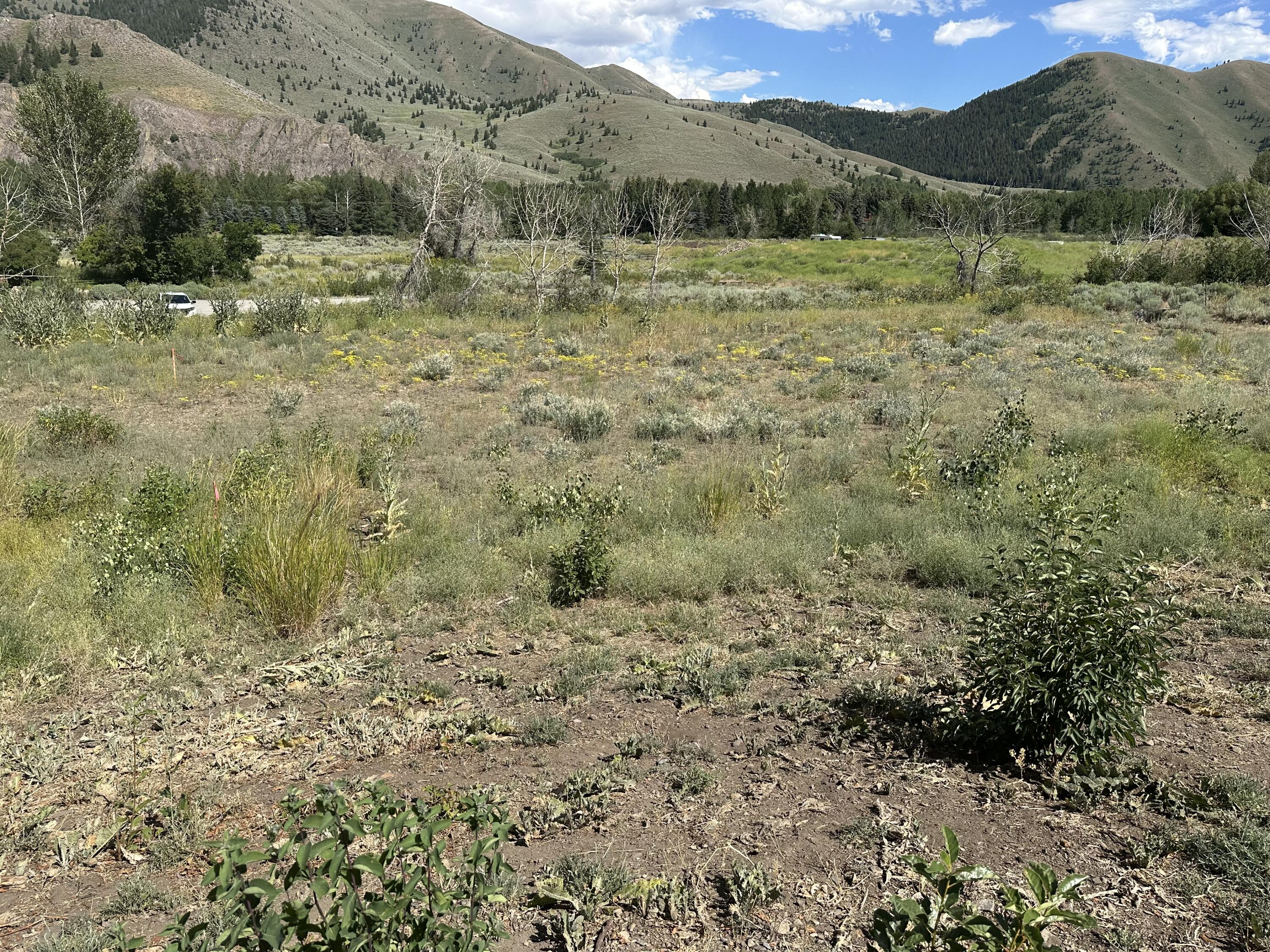 12531 N Highway 75 Property Photo 10