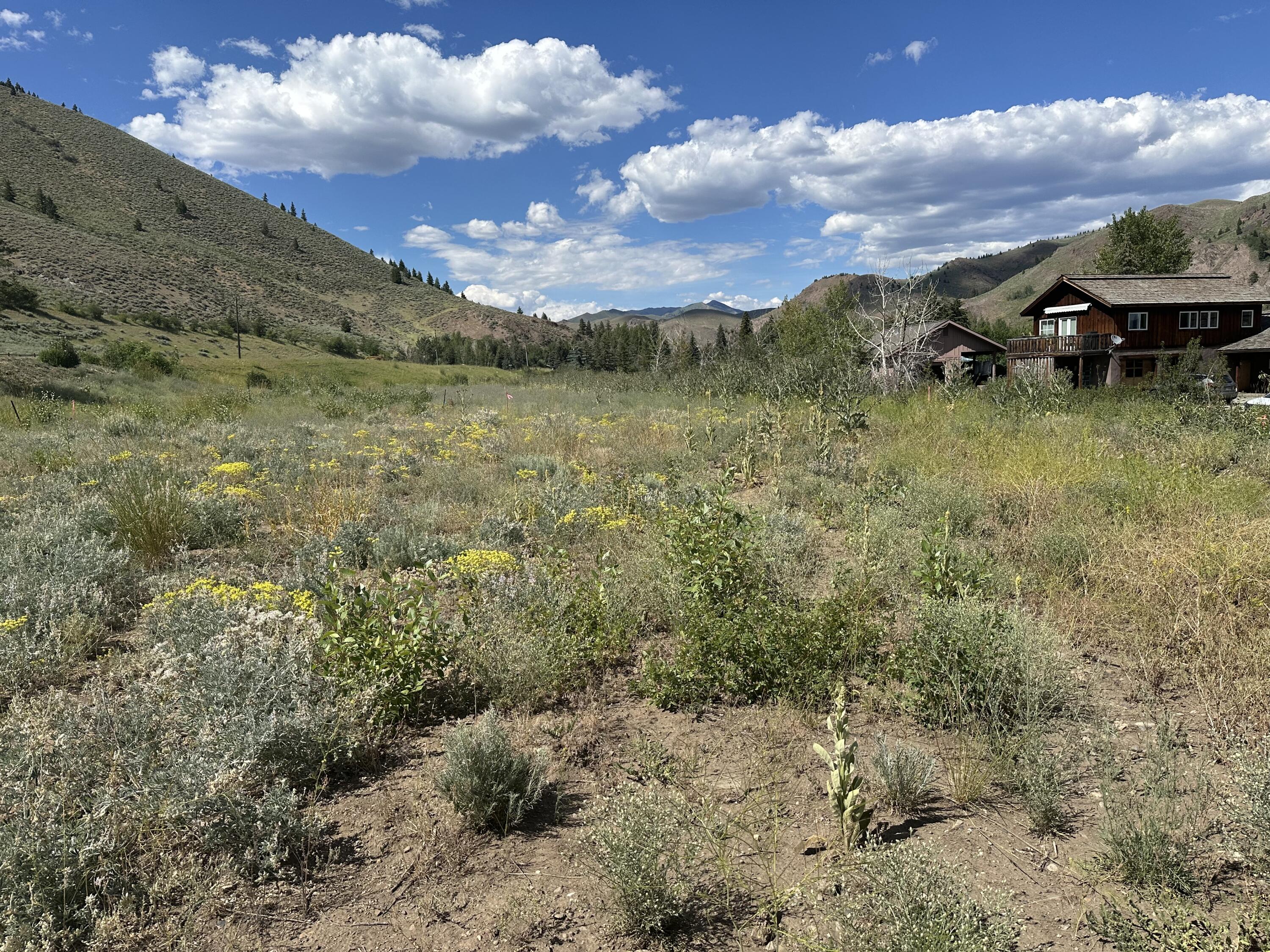 12531 N Highway 75 Property Photo 11