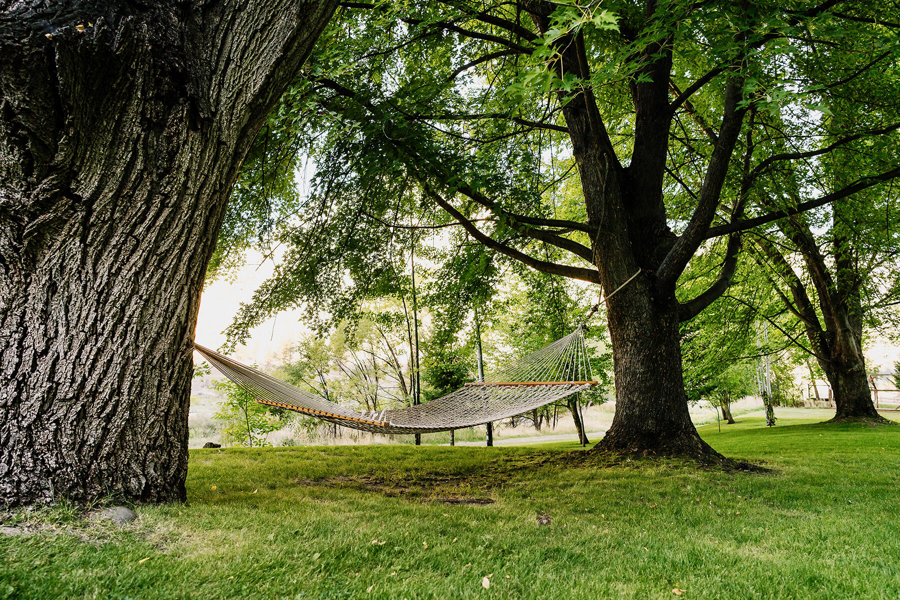 Salmon River Property Photo 30