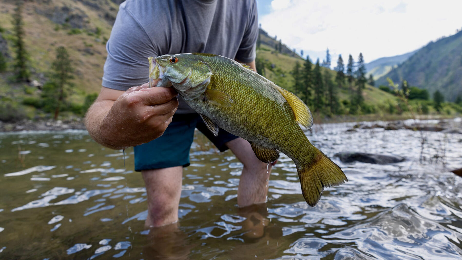 Salmon River Property Photo 64