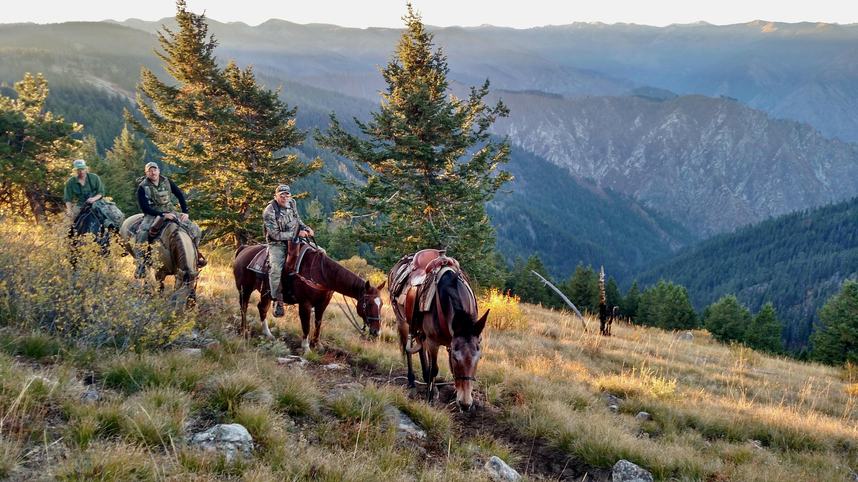 Salmon River Property Photo 67