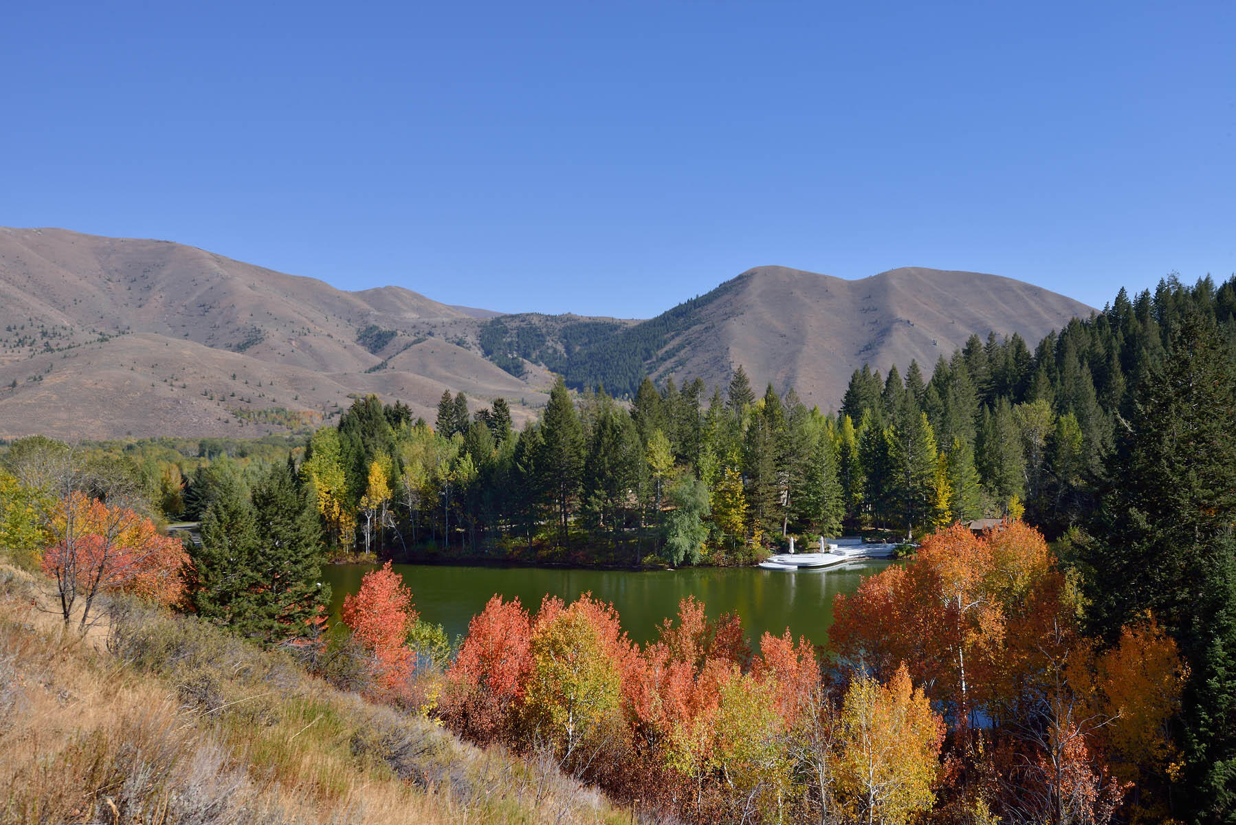 Hwy 75 Property Photo 19