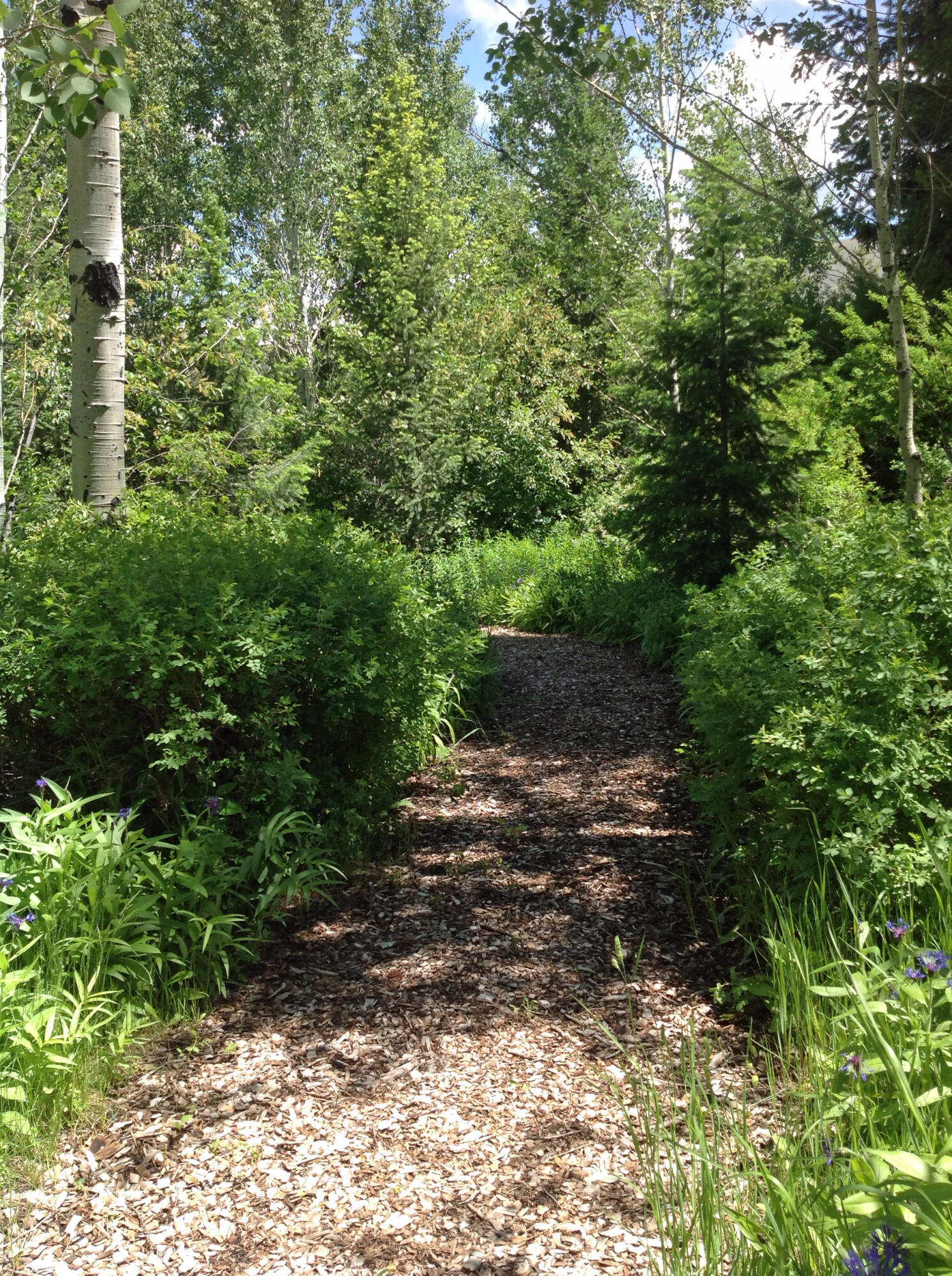 Hwy 75 Property Photo 21