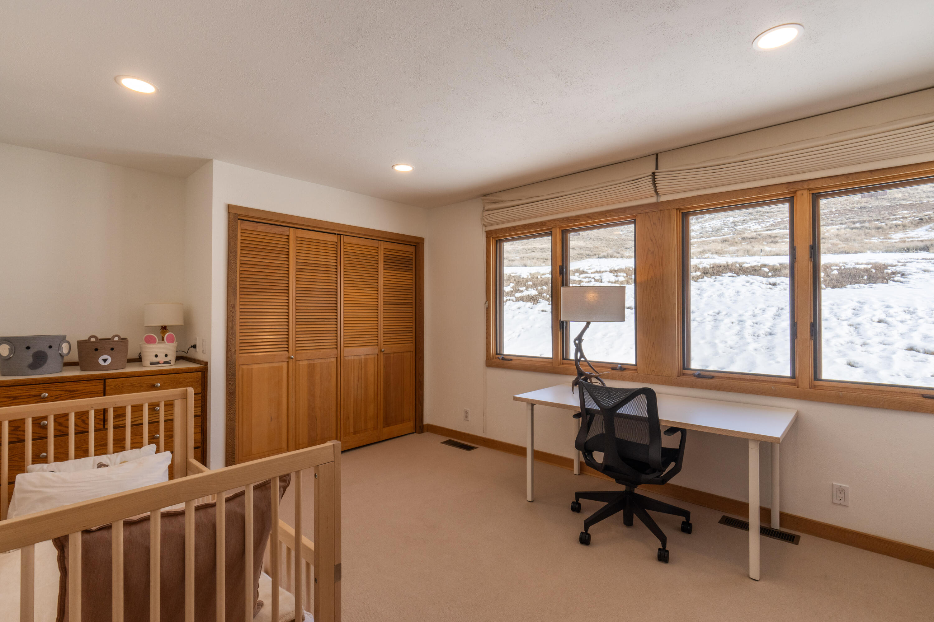 107 Skyline Spur Property Photo 27