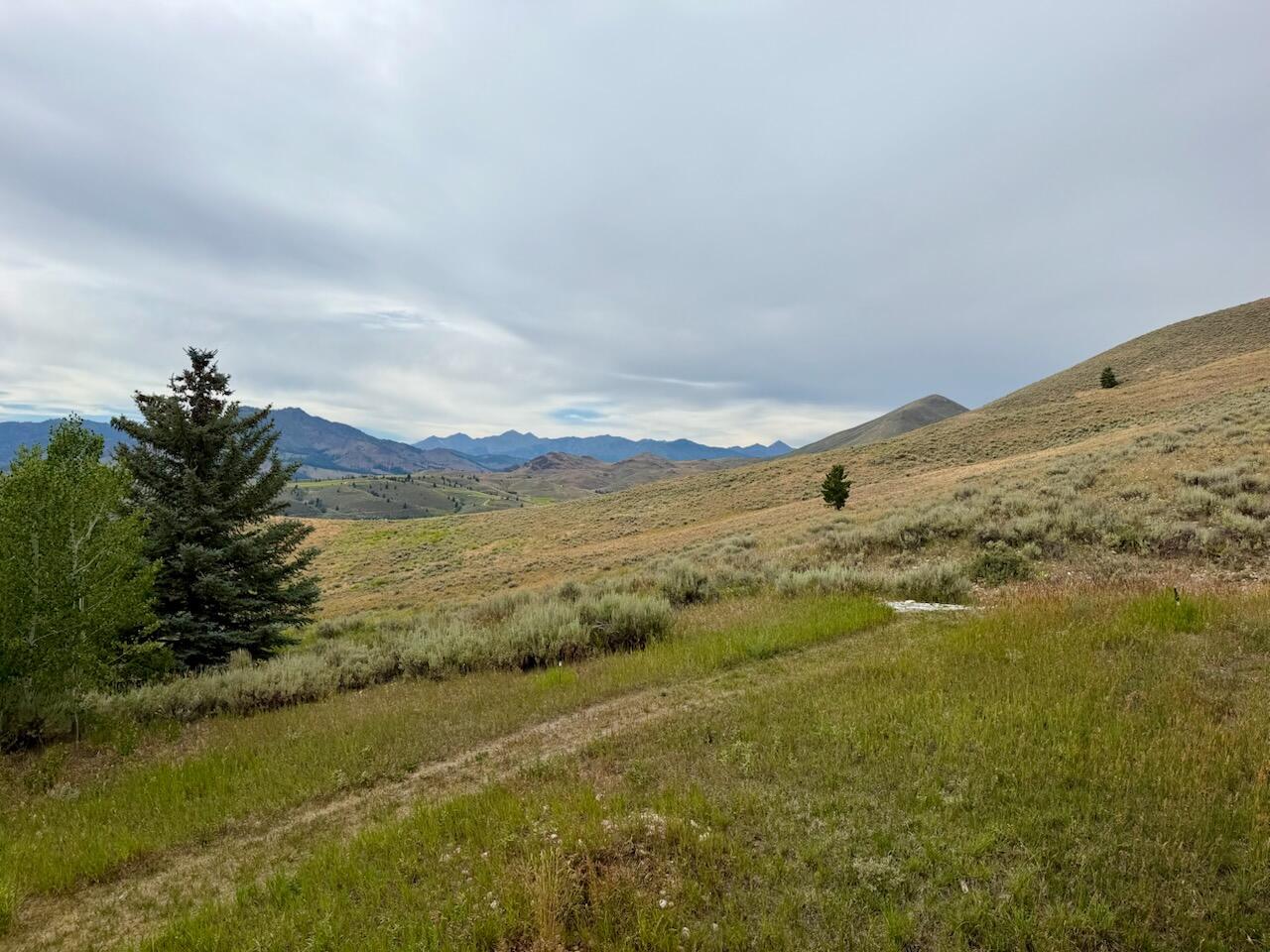 107 Skyline Spur Property Photo 41