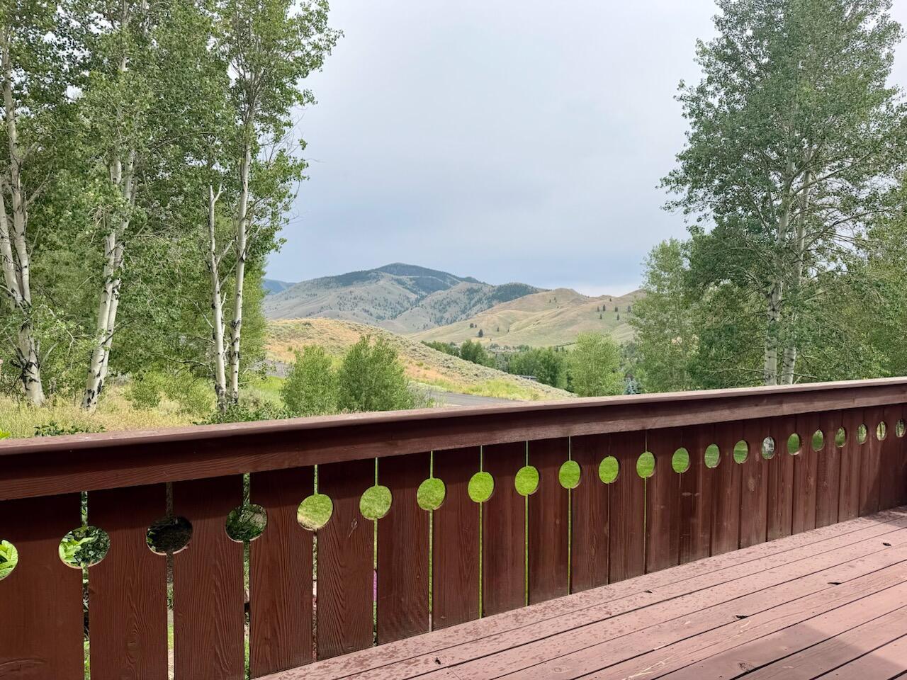 107 Skyline Spur Property Photo 43