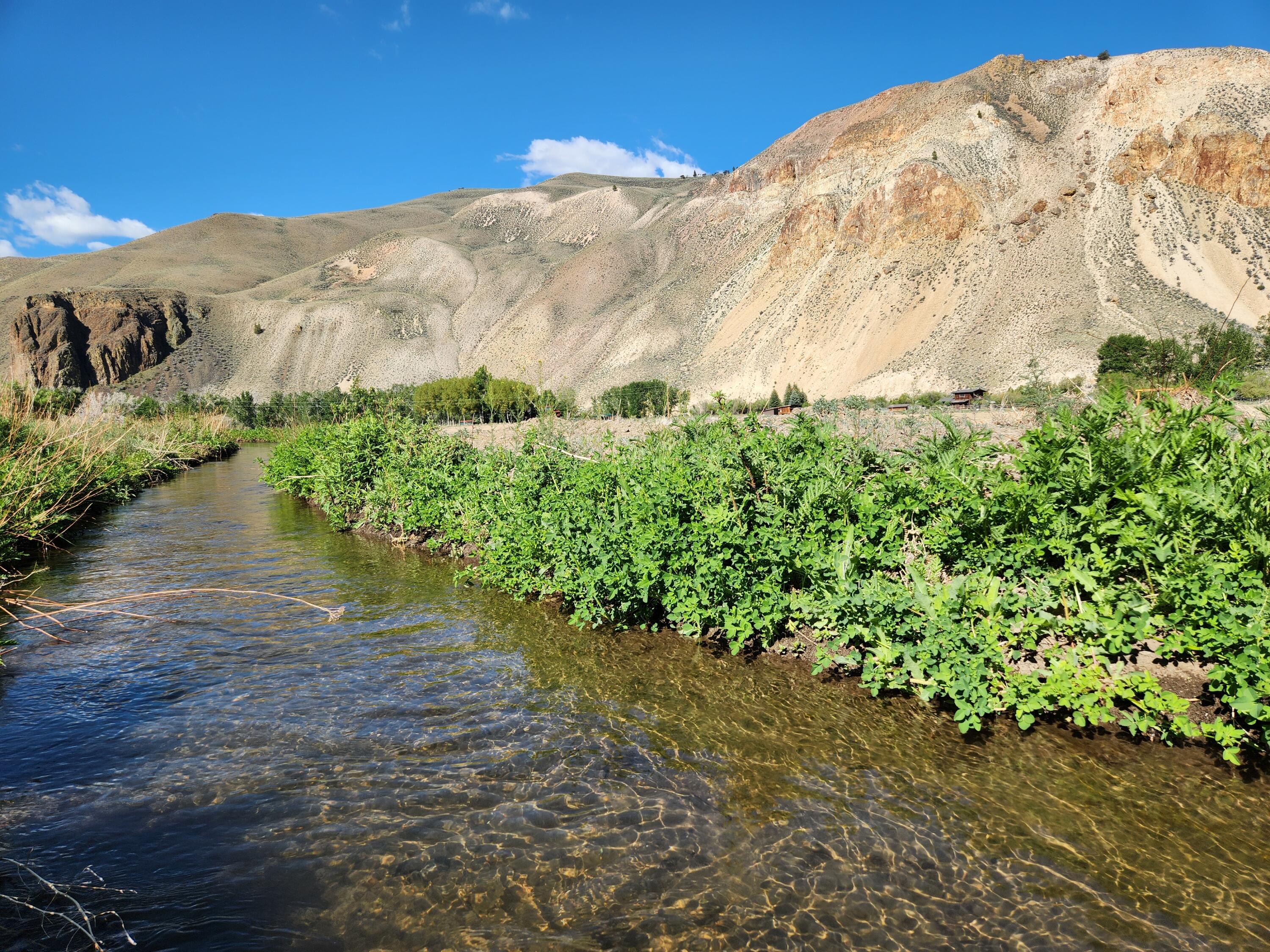 Tbd Chukar Lane Property Photo 12