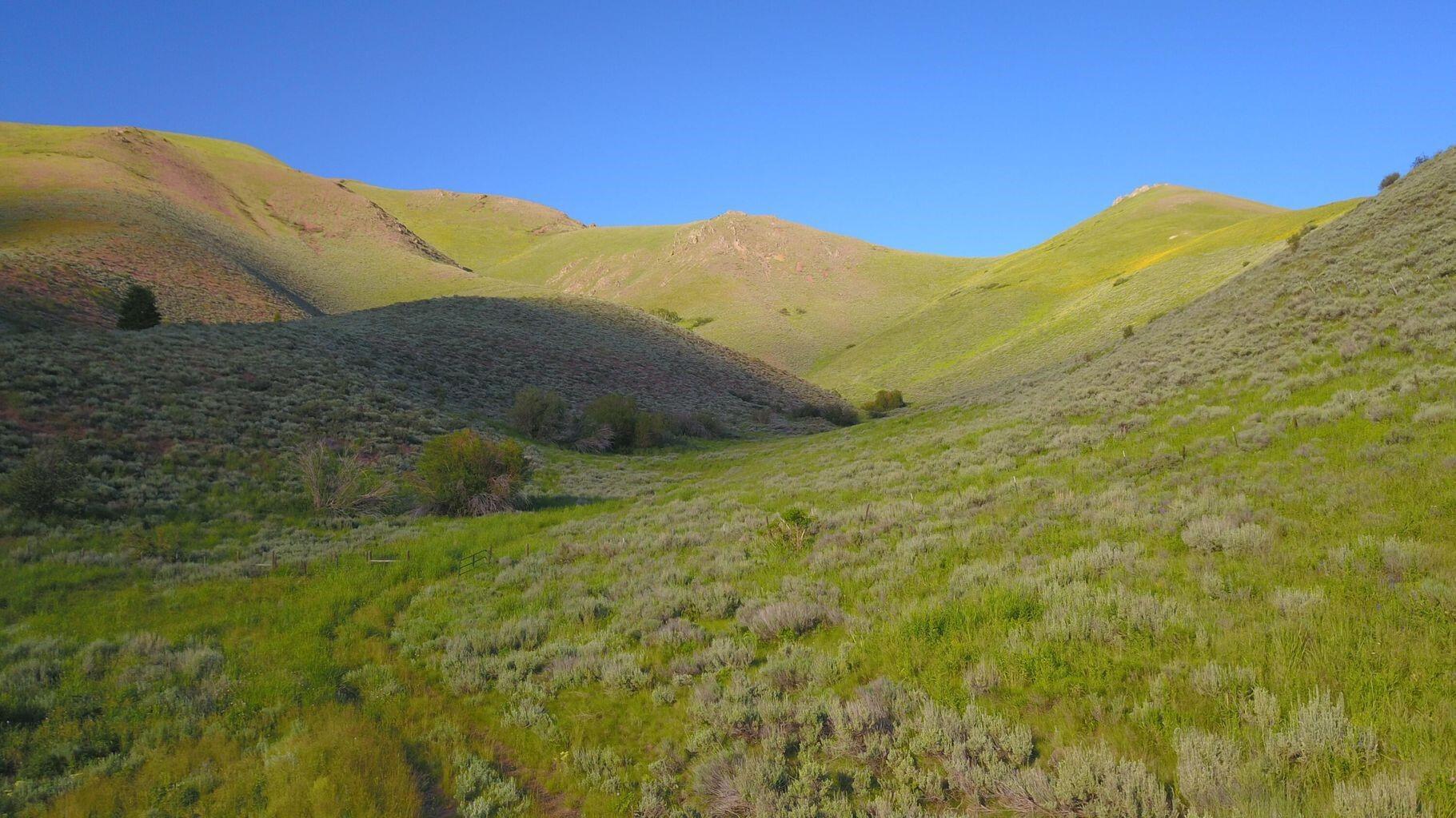 100 Water Gulch Rd Property Photo 1