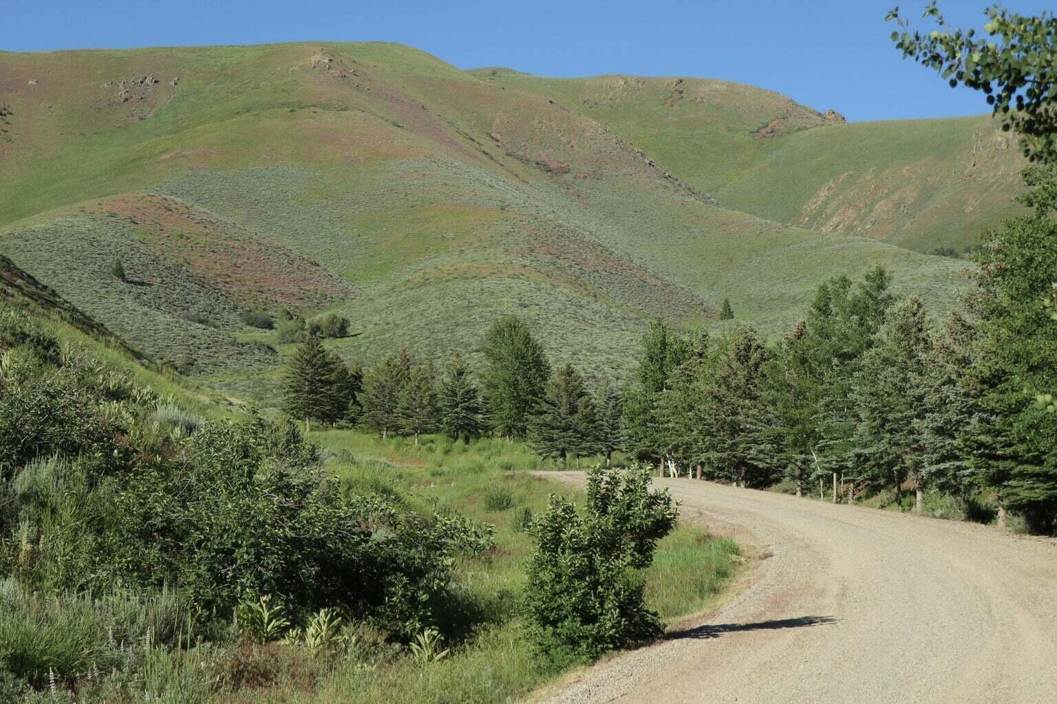 100 Water Gulch Rd Property Photo 4