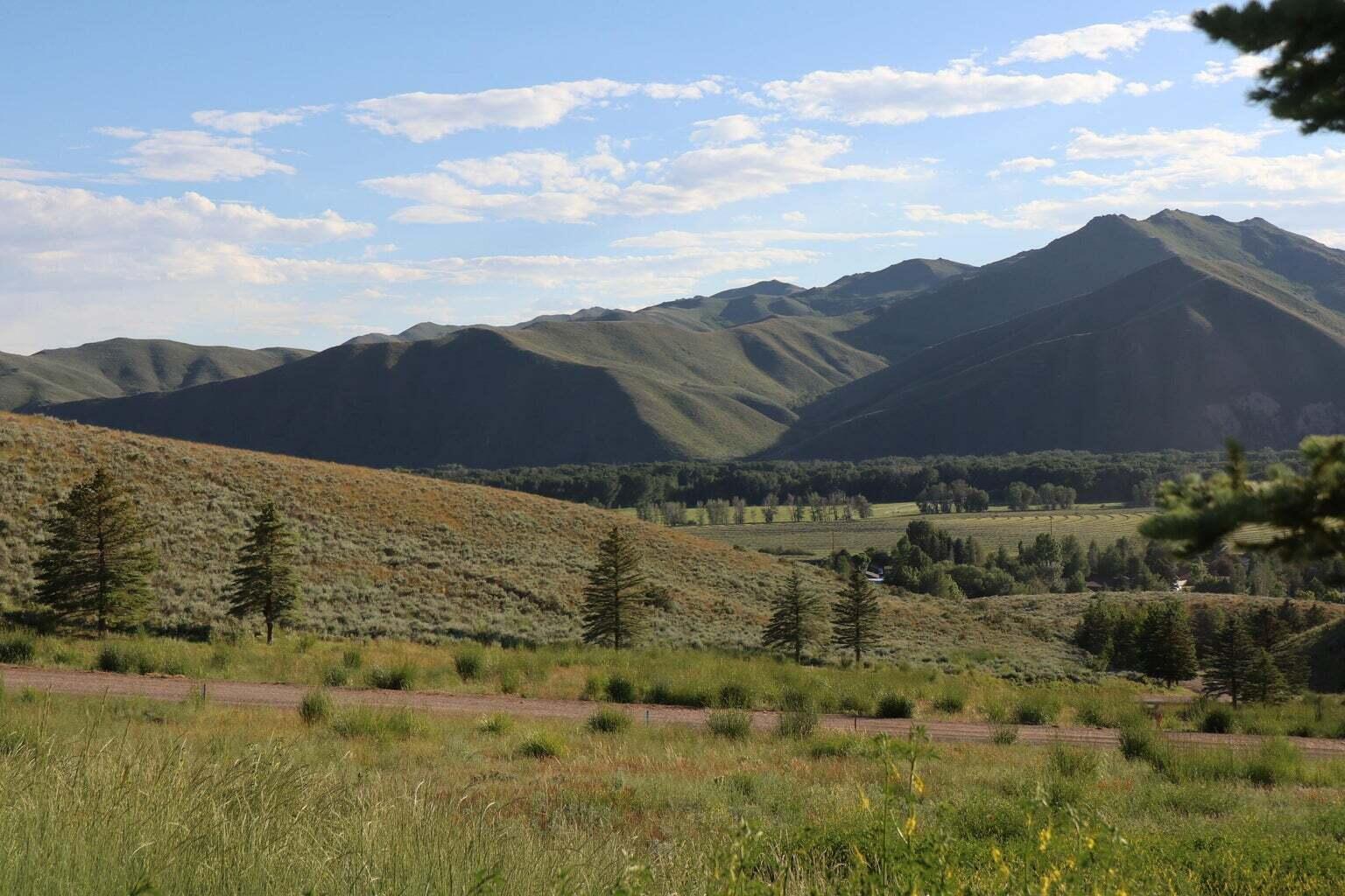 100 Water Gulch Rd Property Photo 8