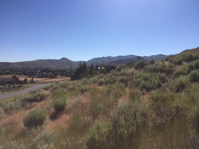 39 Muldoon Canyon Rd Property Photo 9