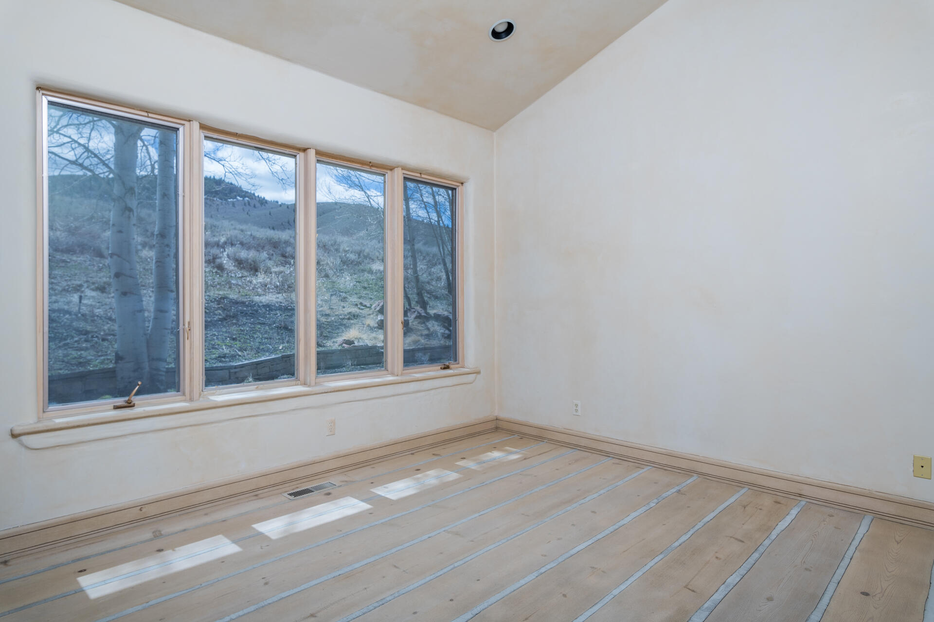 226 Blue Bell St Property Photo 17