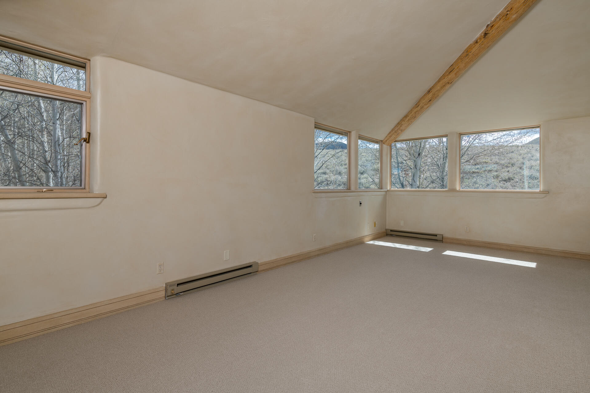 226 Blue Bell St Property Photo 22