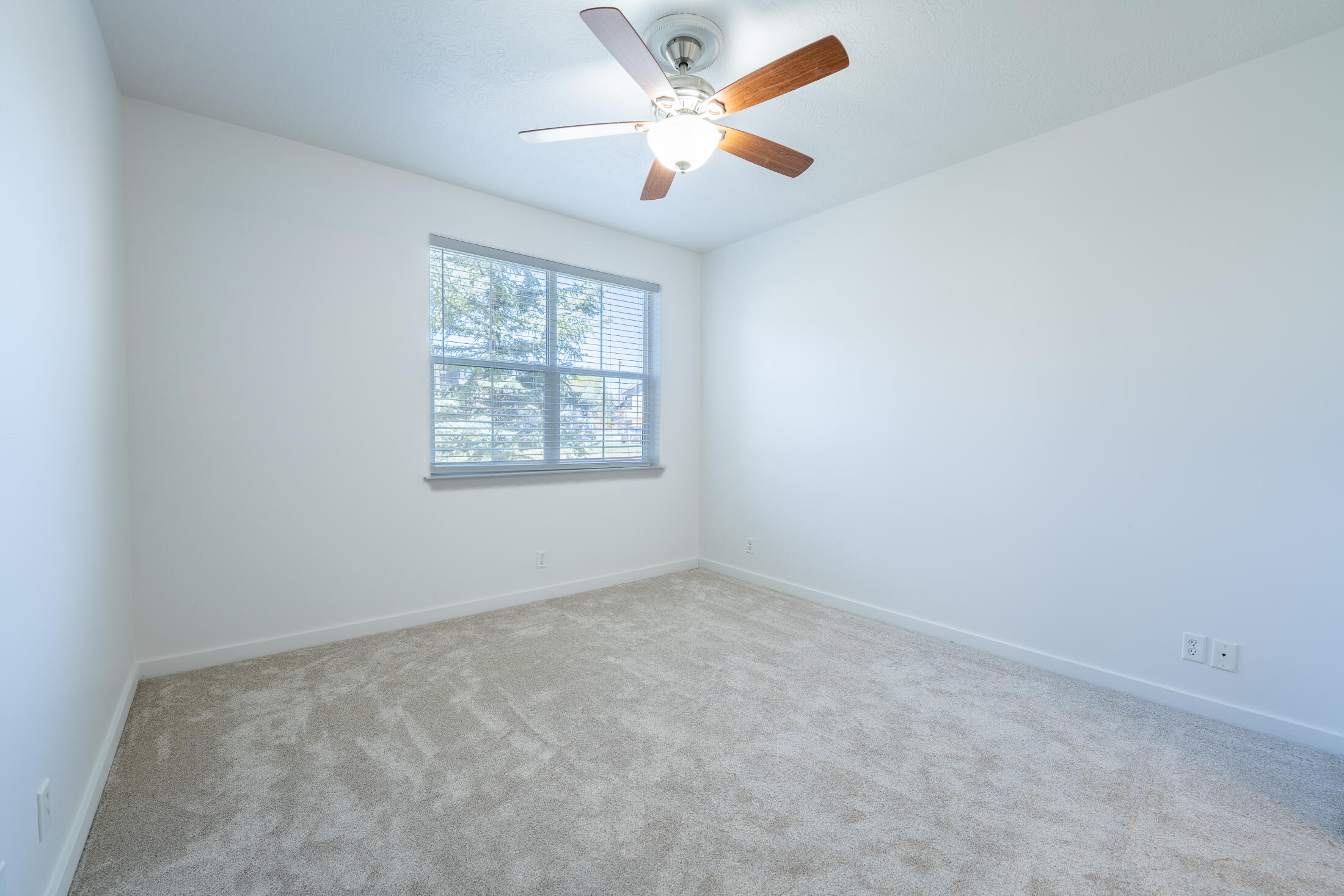 921 White Cloud Lane B Property Photo 10
