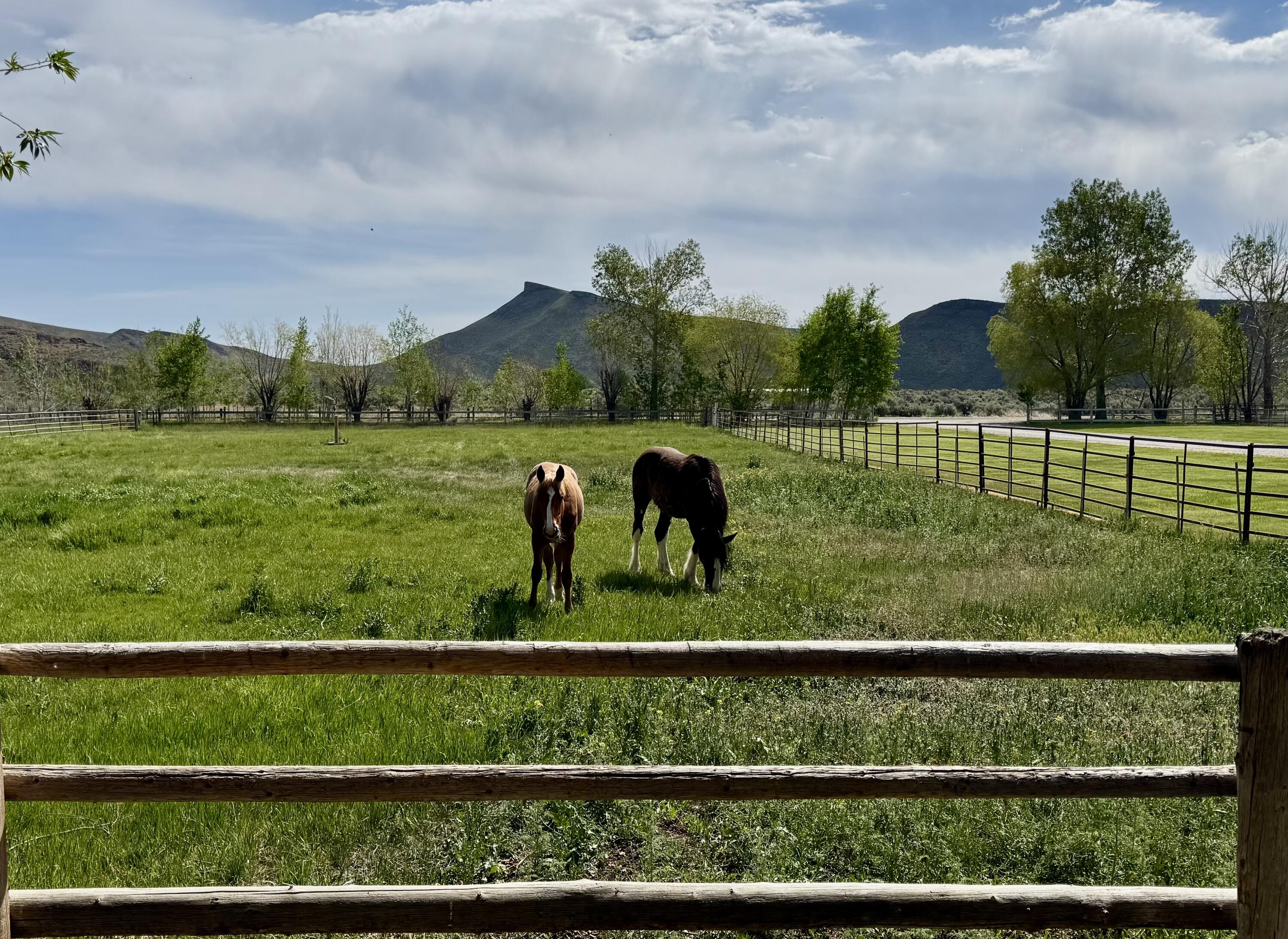 26-334371 Property Photo 44