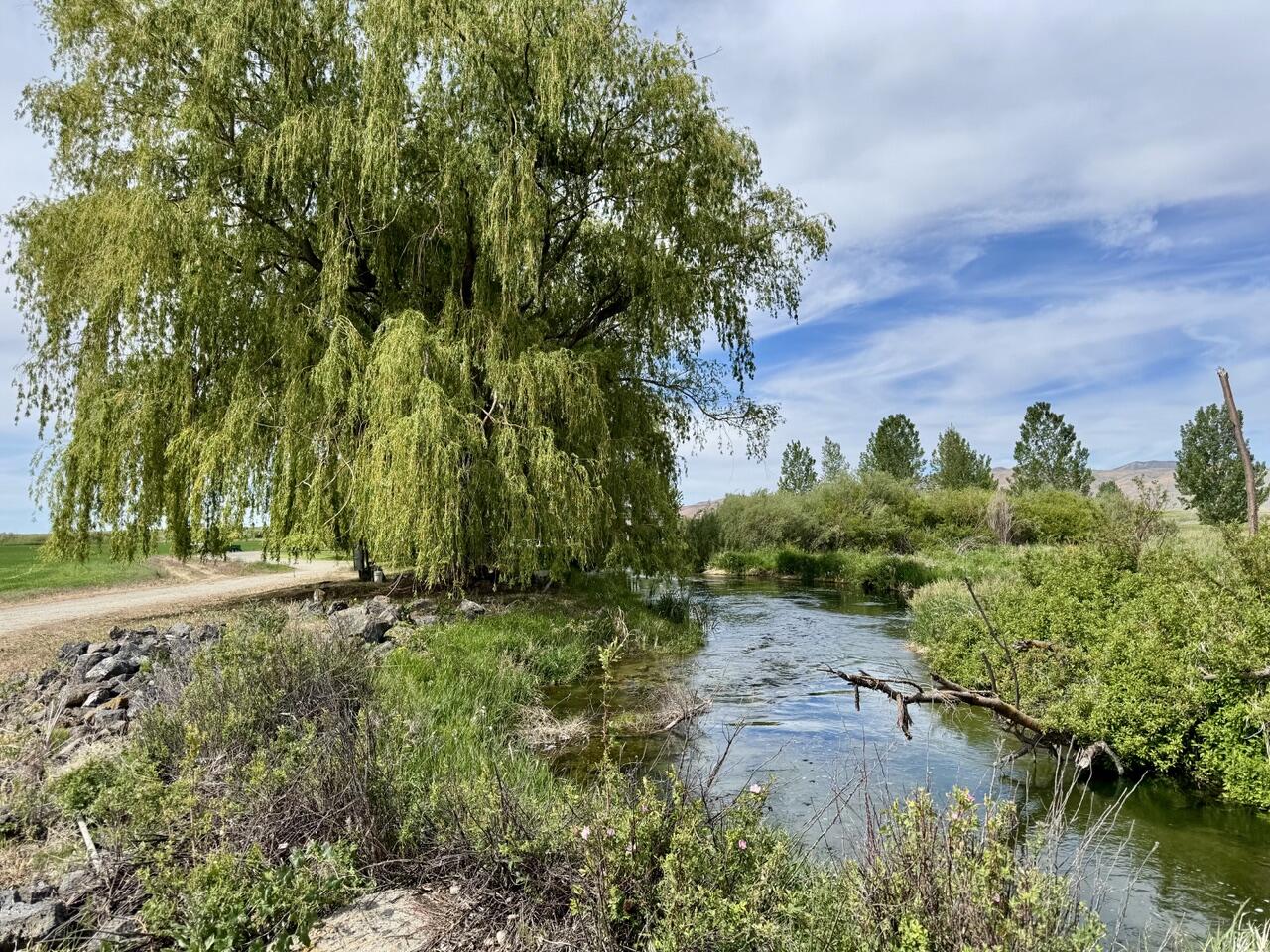 26-334371 Property Photo 51
