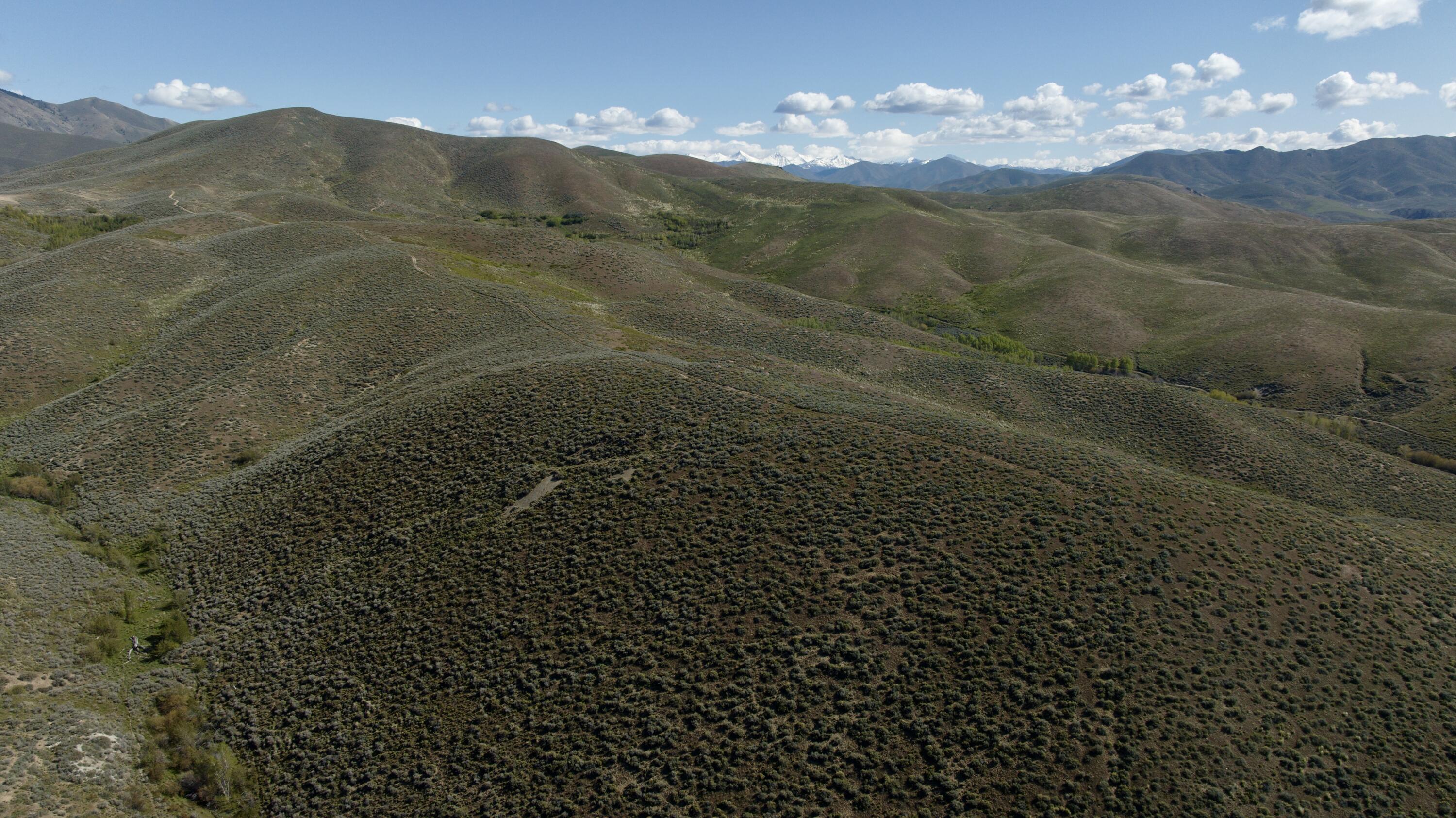 Tbd Camp Creek Rd Property Photo 5