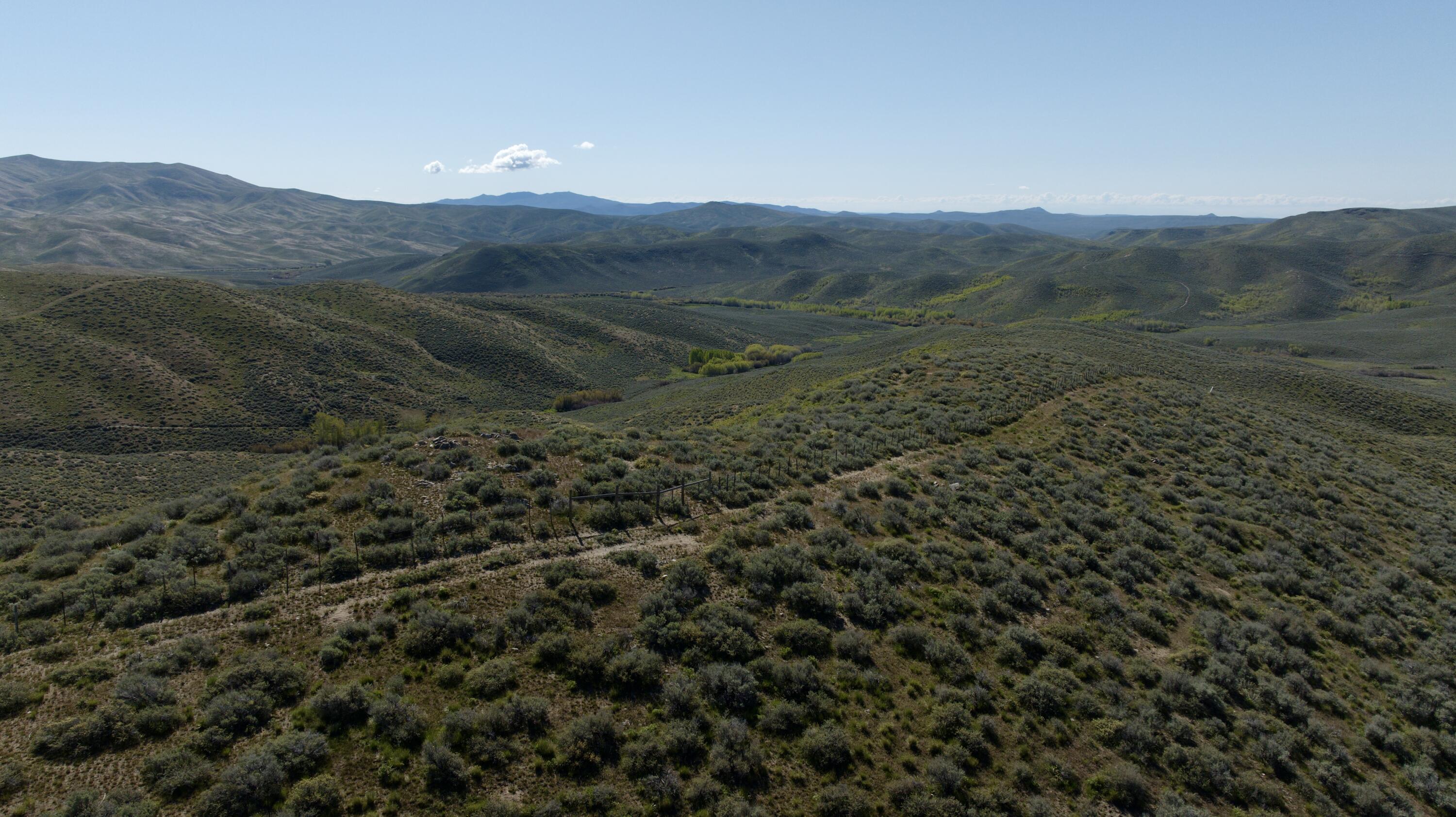 Tbd Camp Creek Rd Property Photo 6