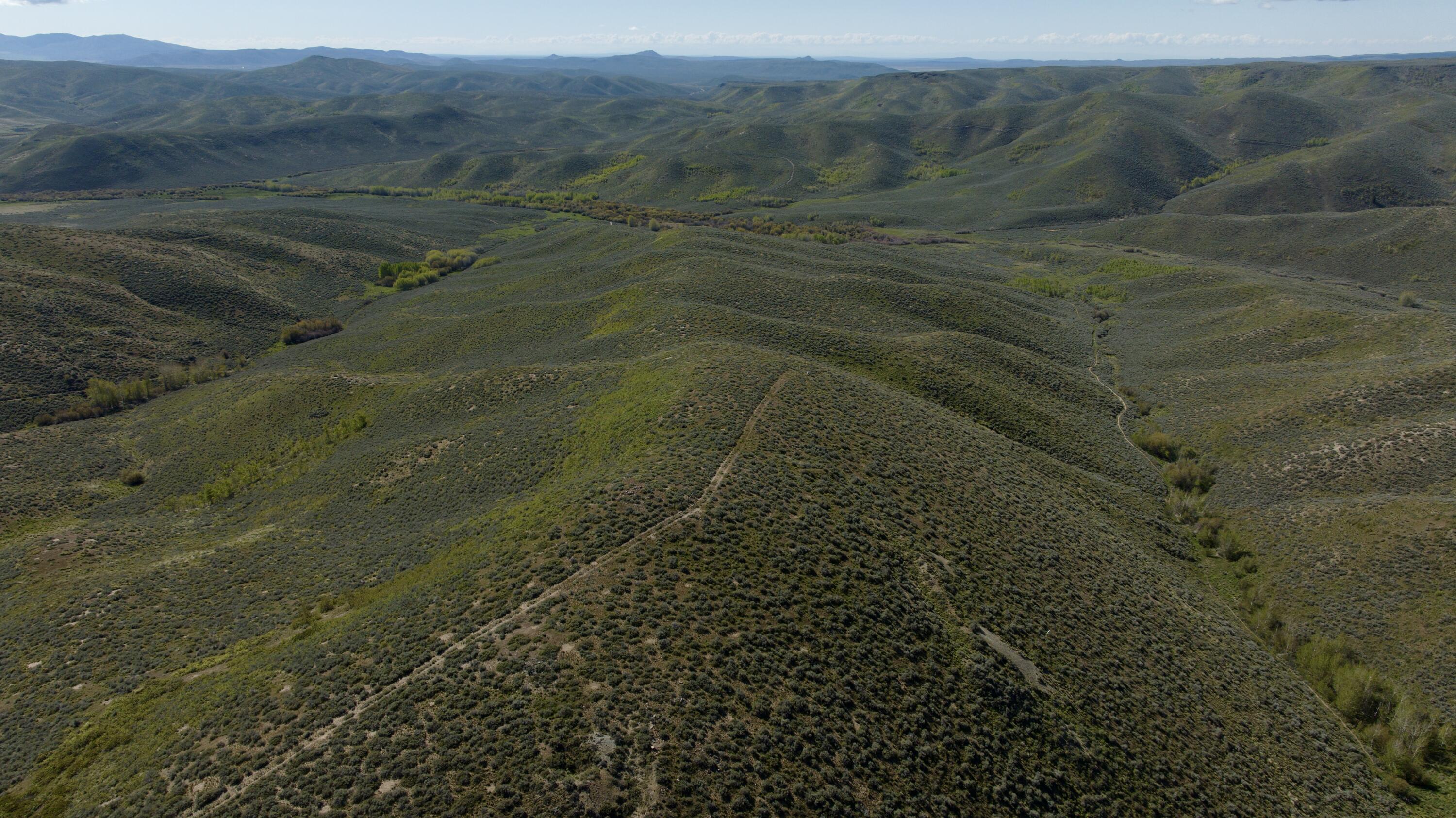 Tbd Camp Creek Rd Property Photo 9