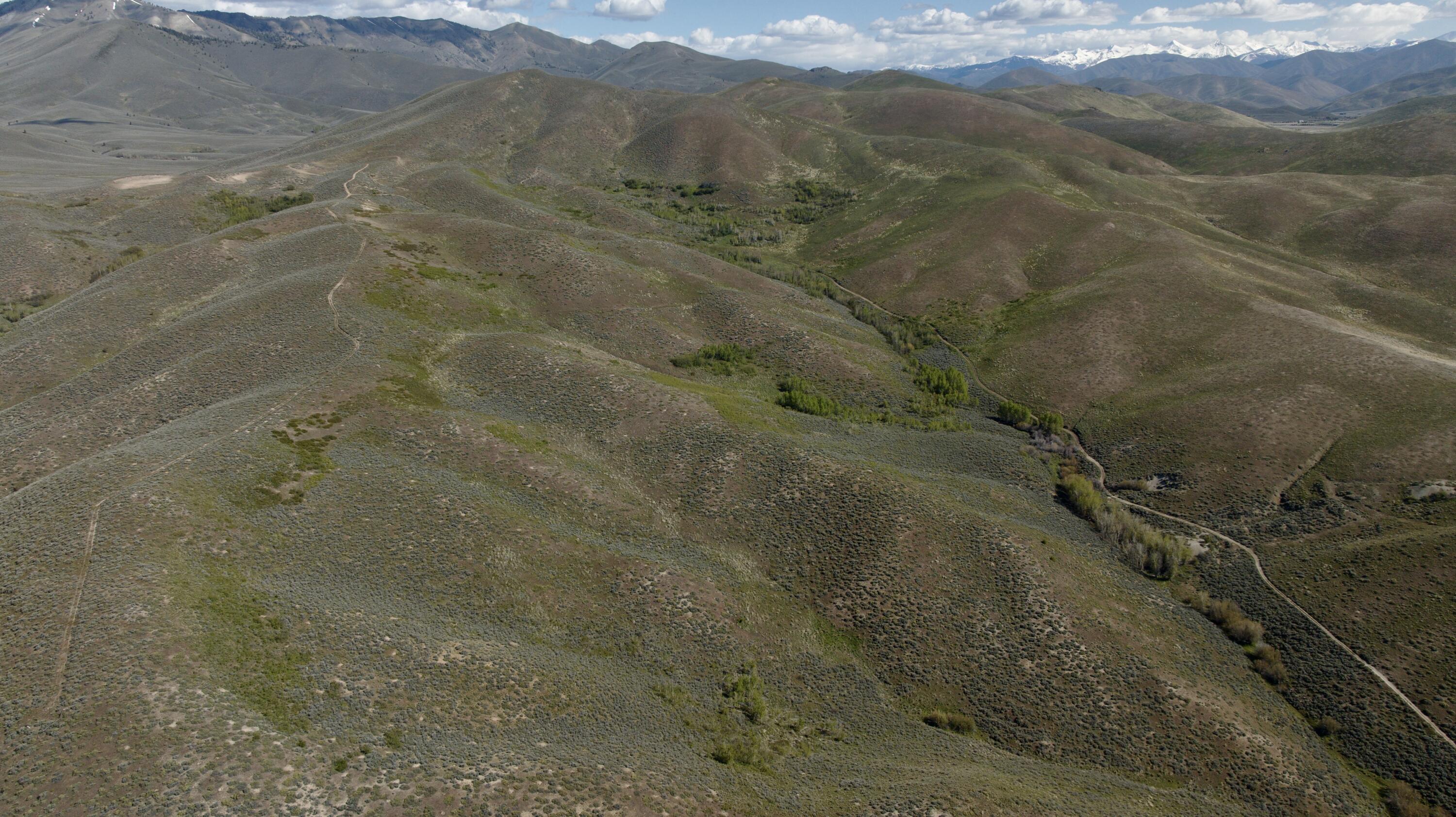 Tbd Camp Creek Rd Property Photo 11