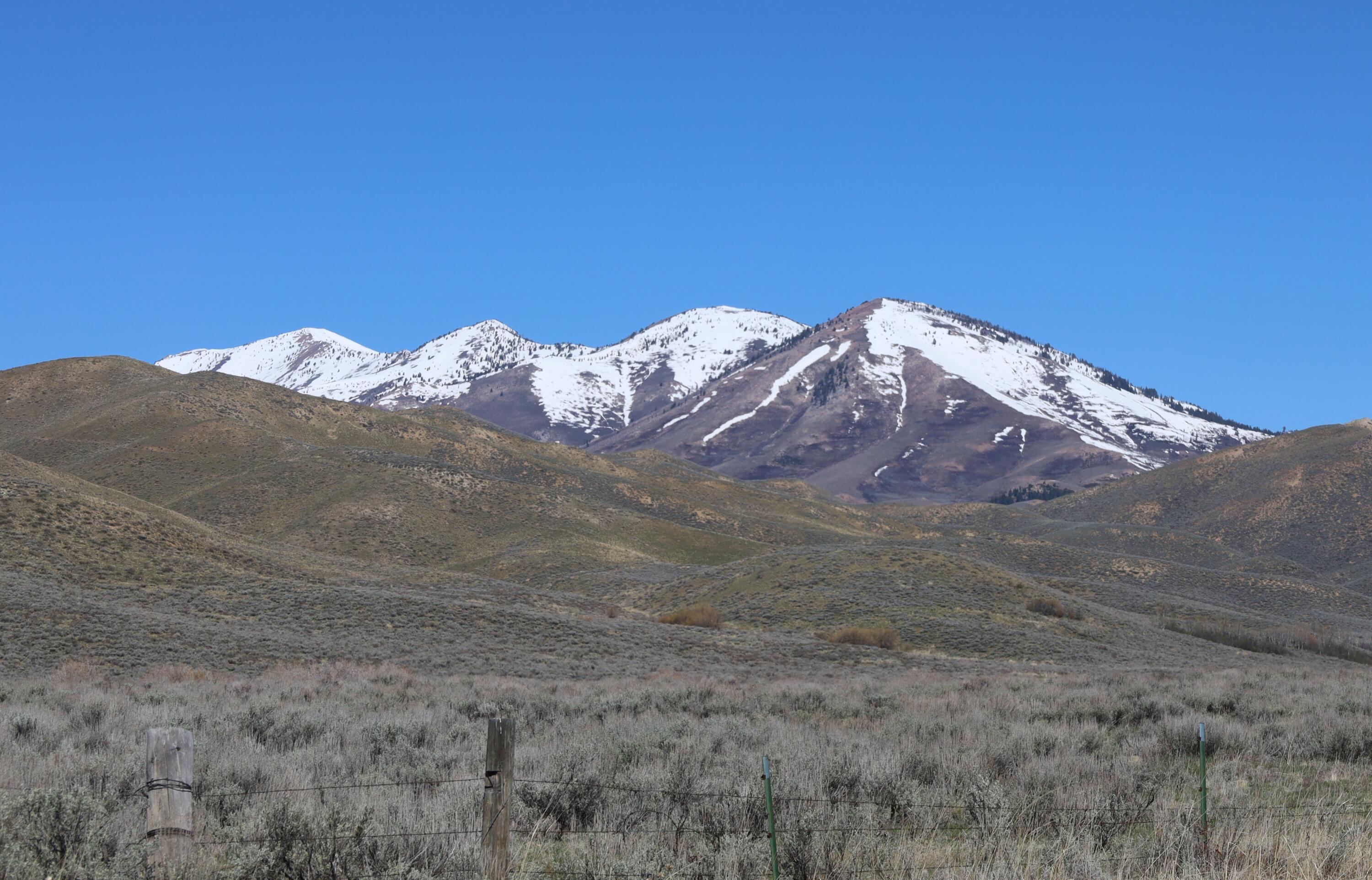 Palomino Rd