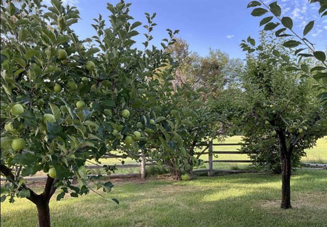 4778 River Rd Property Photo 19