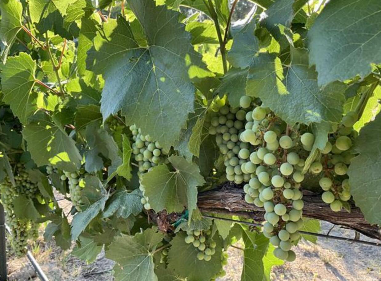 4778 River Rd Property Photo 21