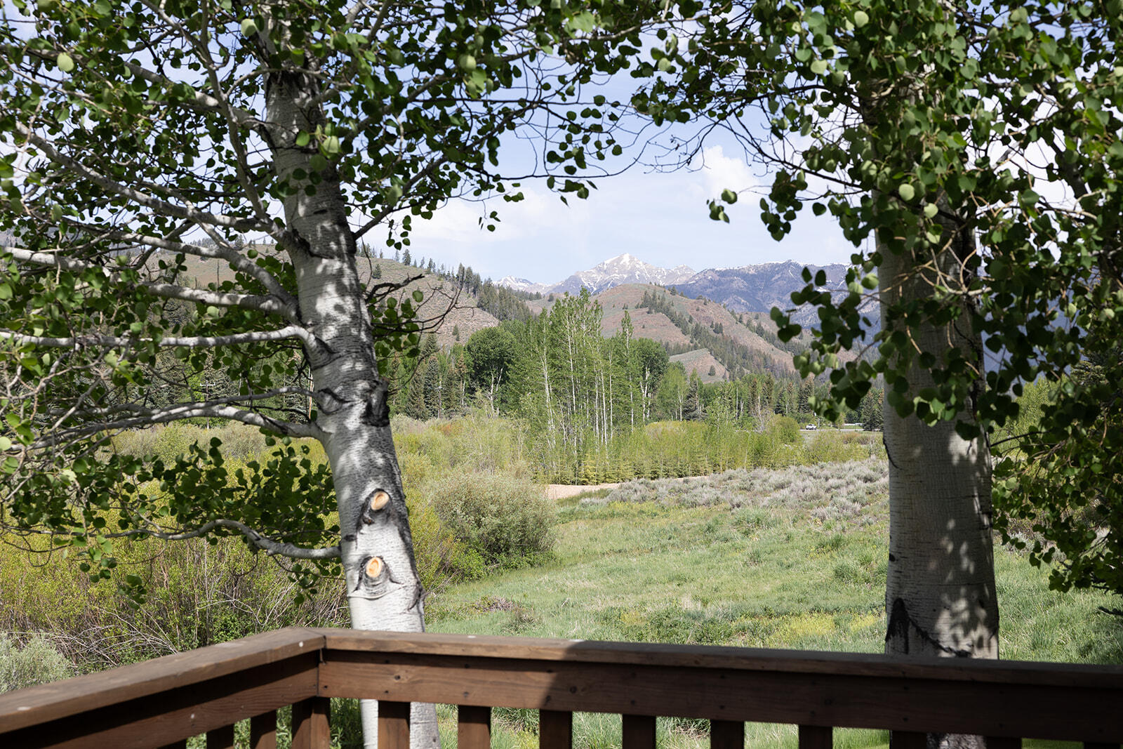 121 Stonegate Cir Property Photo 45
