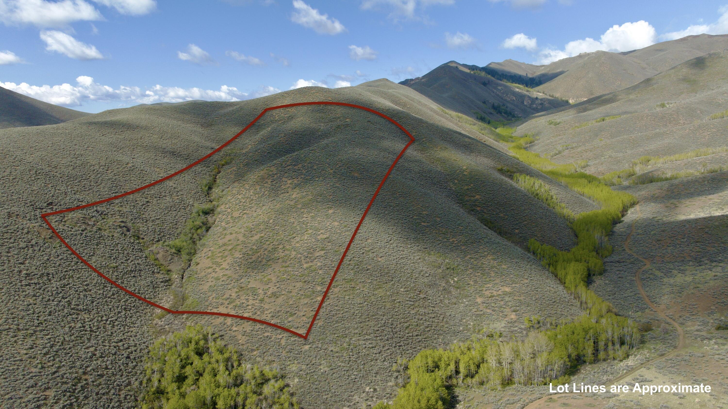 Tbd Lees Gulch Rd Property Photo 1