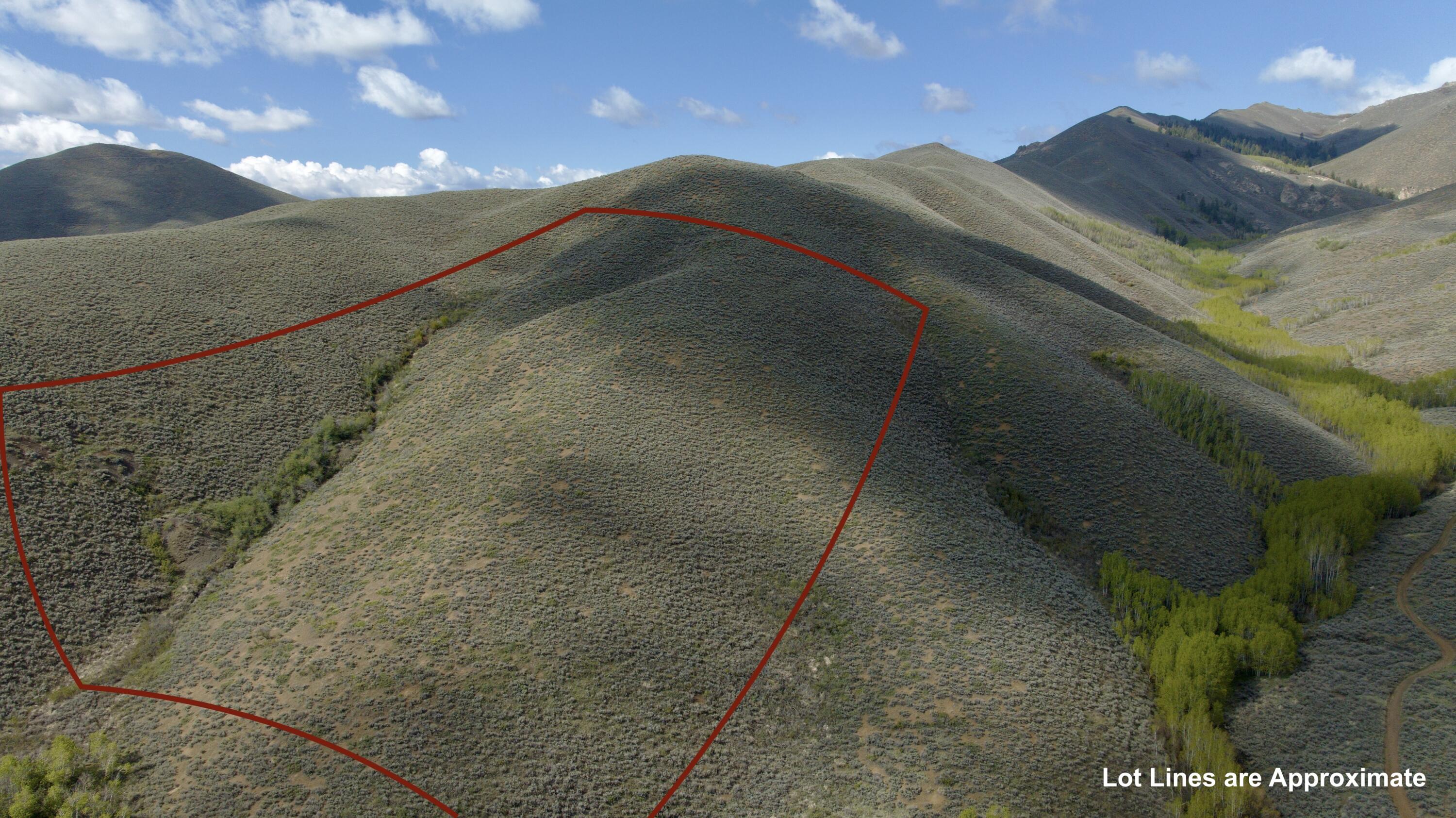 Tbd Lees Gulch Rd Property Photo 4