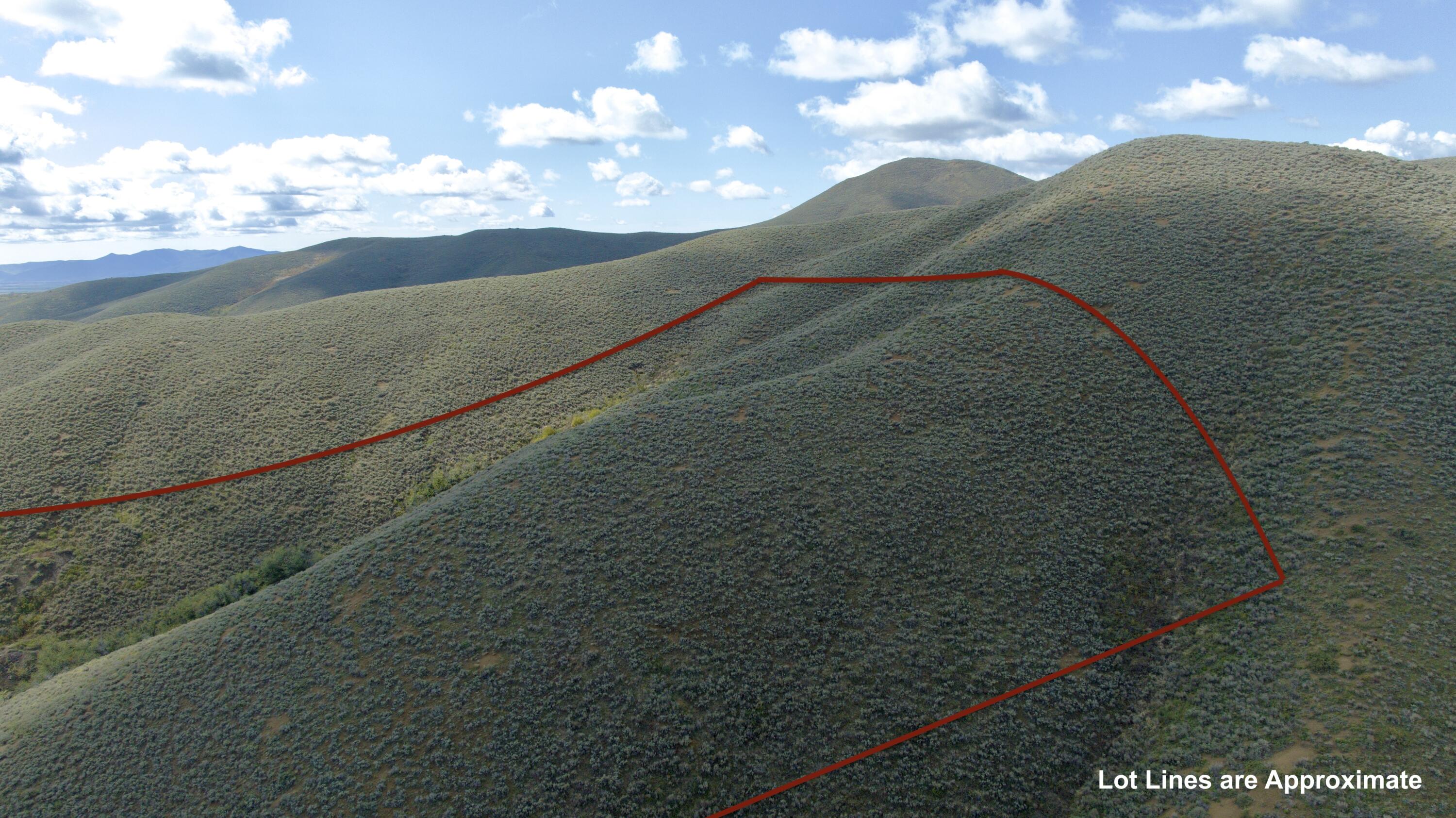 Tbd Lees Gulch Rd Property Photo 5