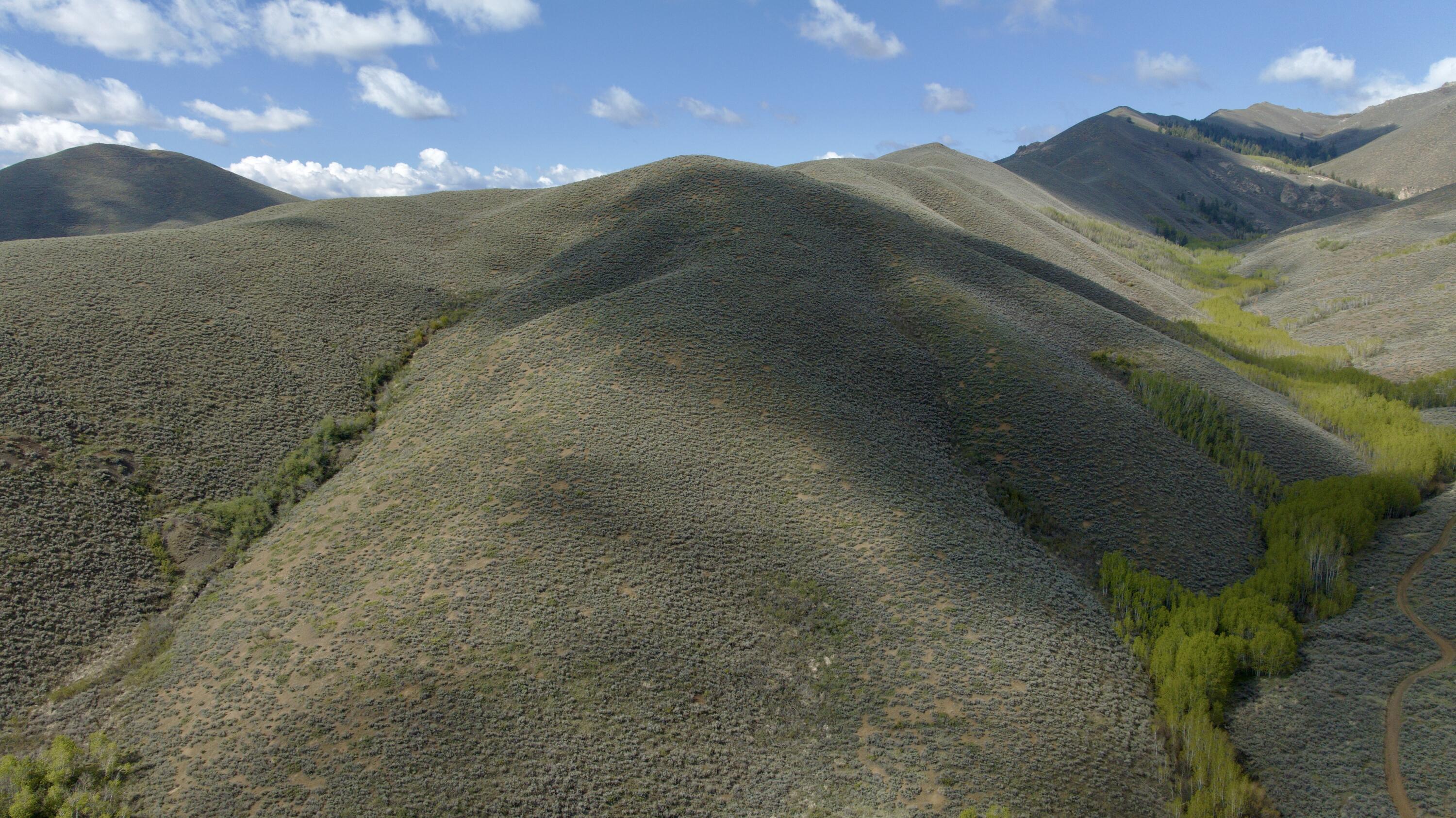 Tbd Lees Gulch Rd Property Photo 7