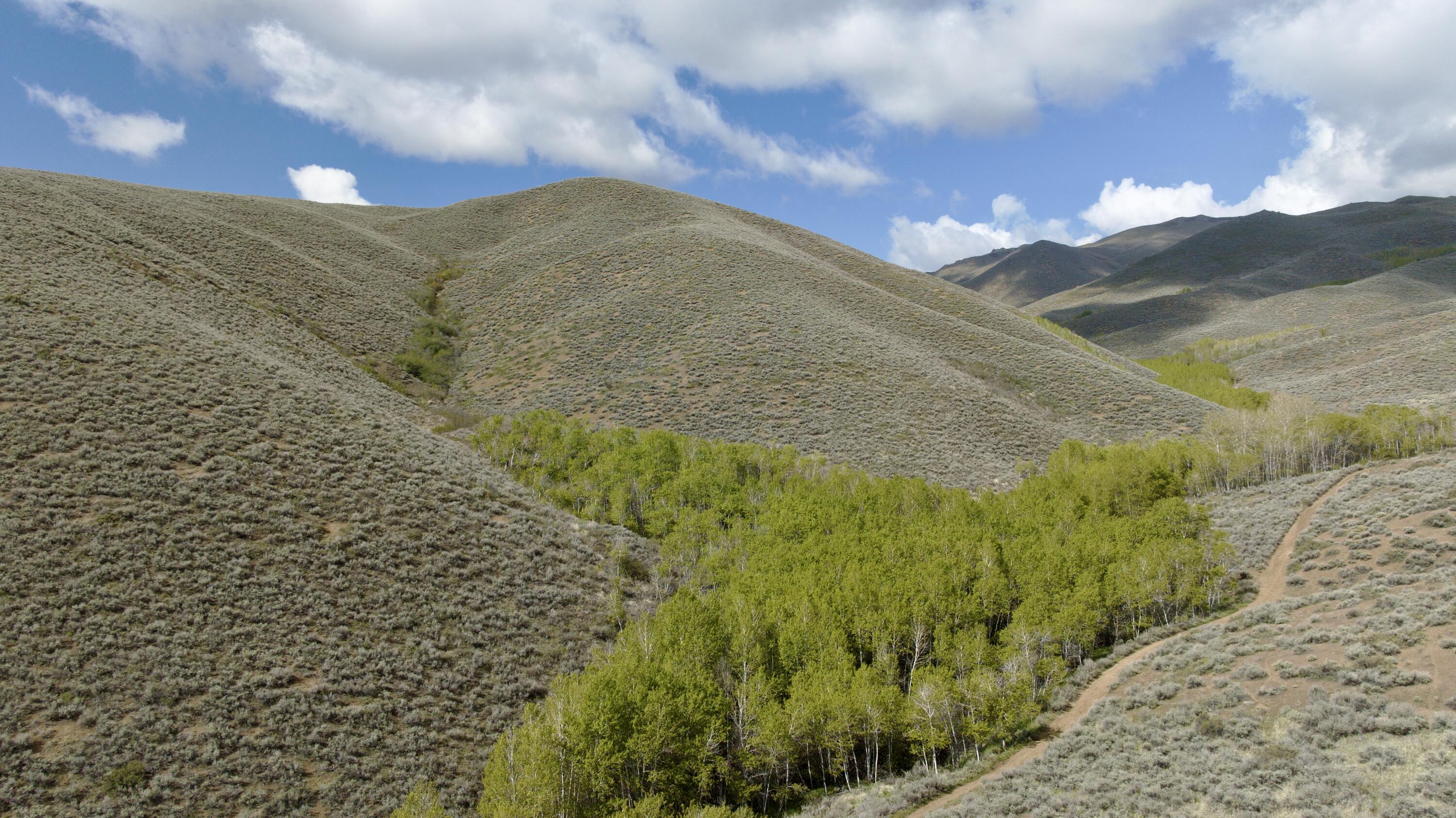 Tbd Lees Gulch Rd Property Photo 9