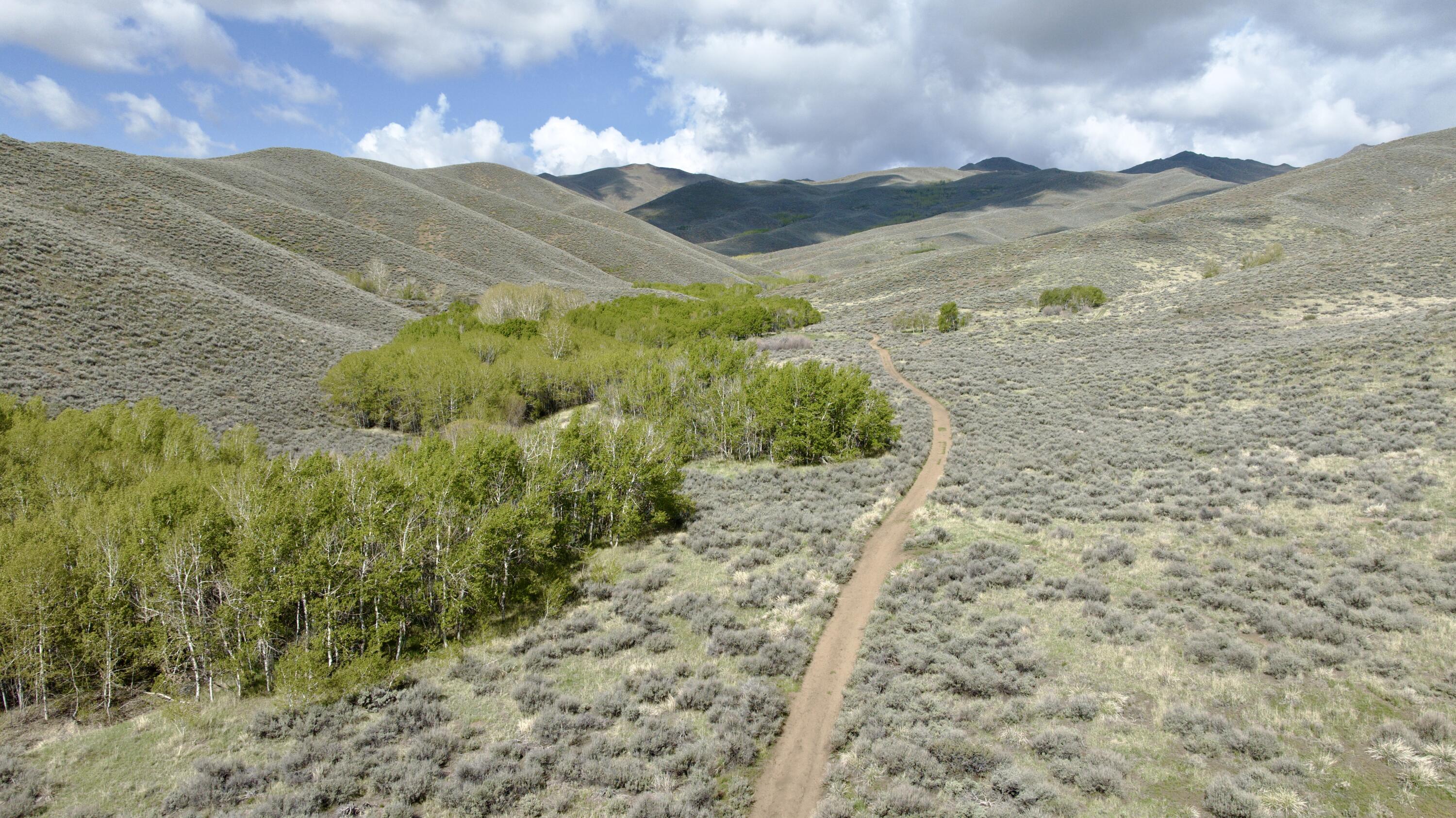 Tbd Lees Gulch Rd Property Photo 10