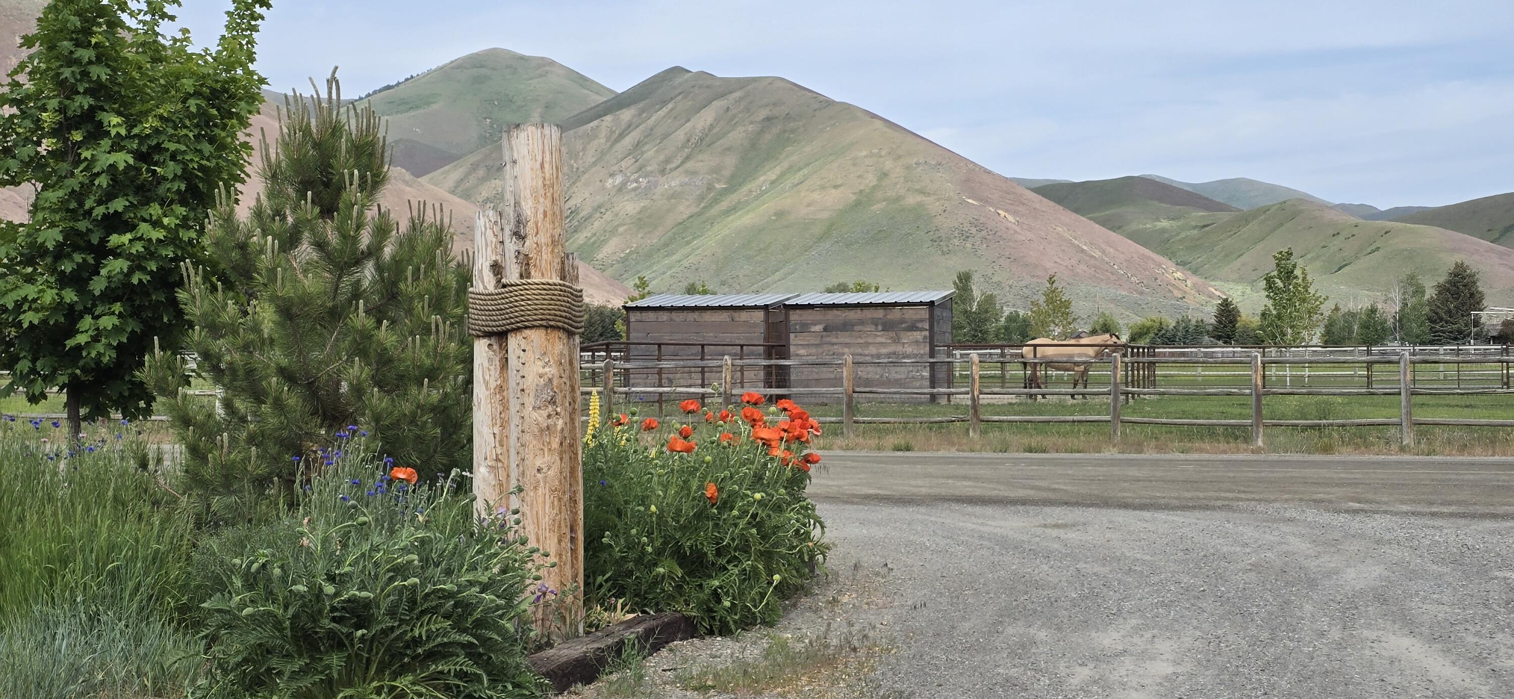113 Equus Loop Property Photo 87