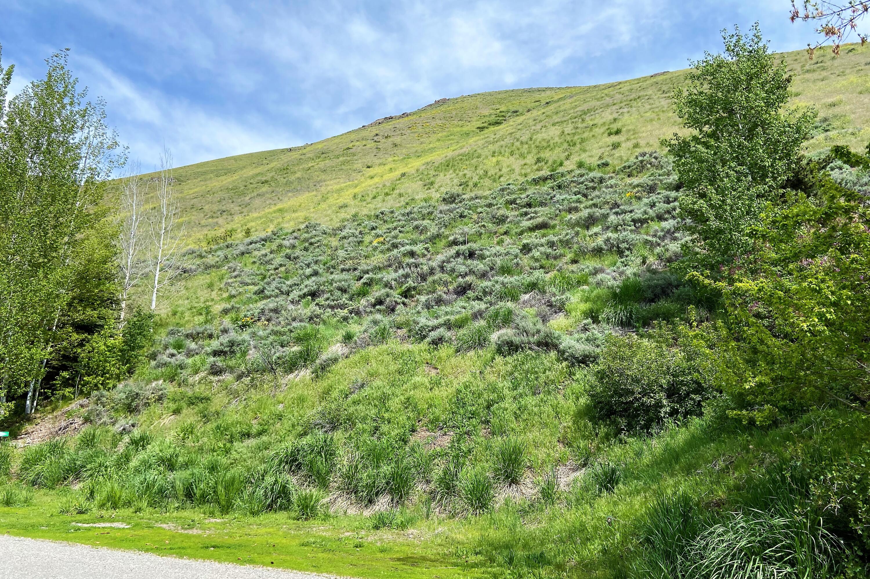 231 Hillside Dr
