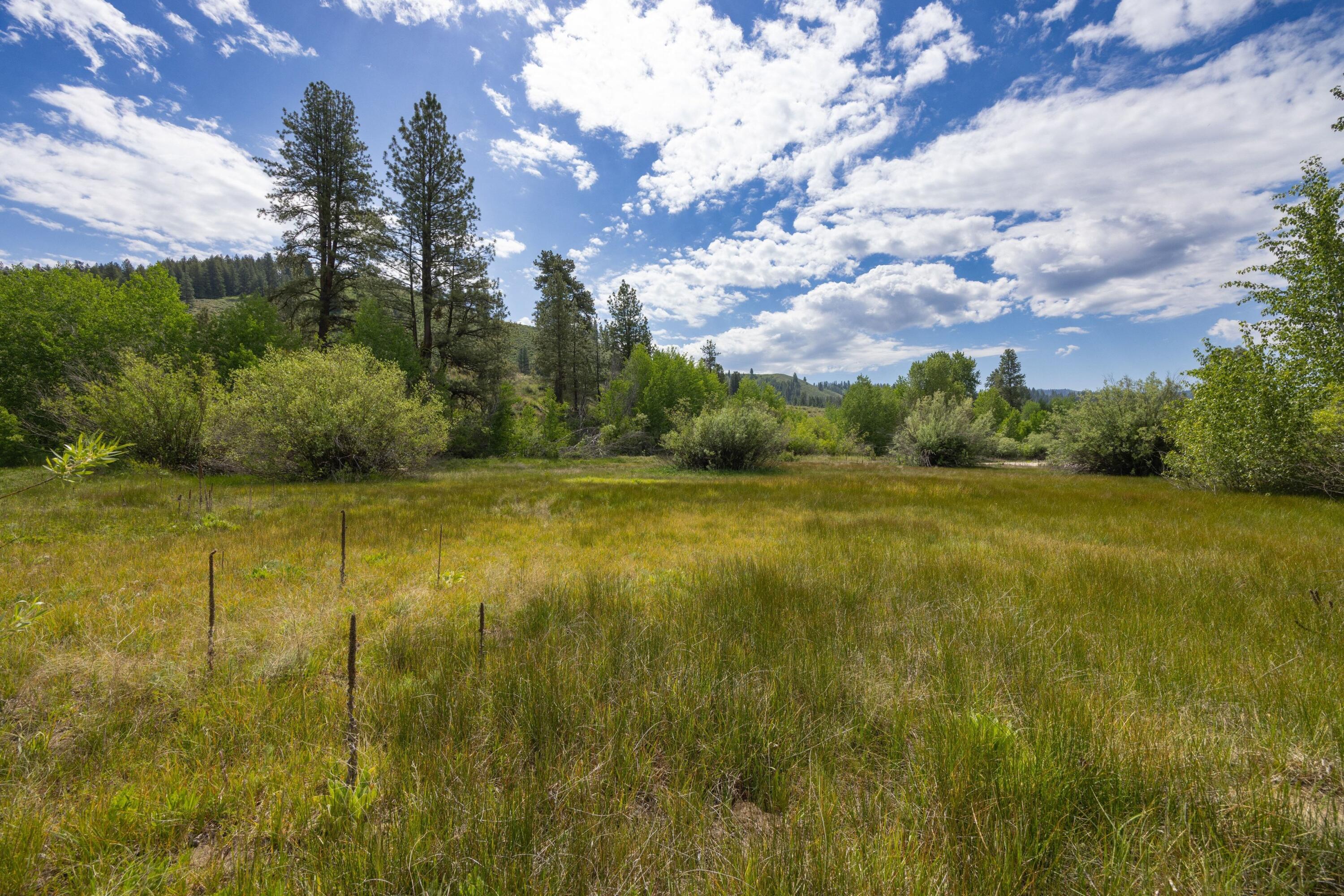 Lot 51 Elk Valley Property Photo 5