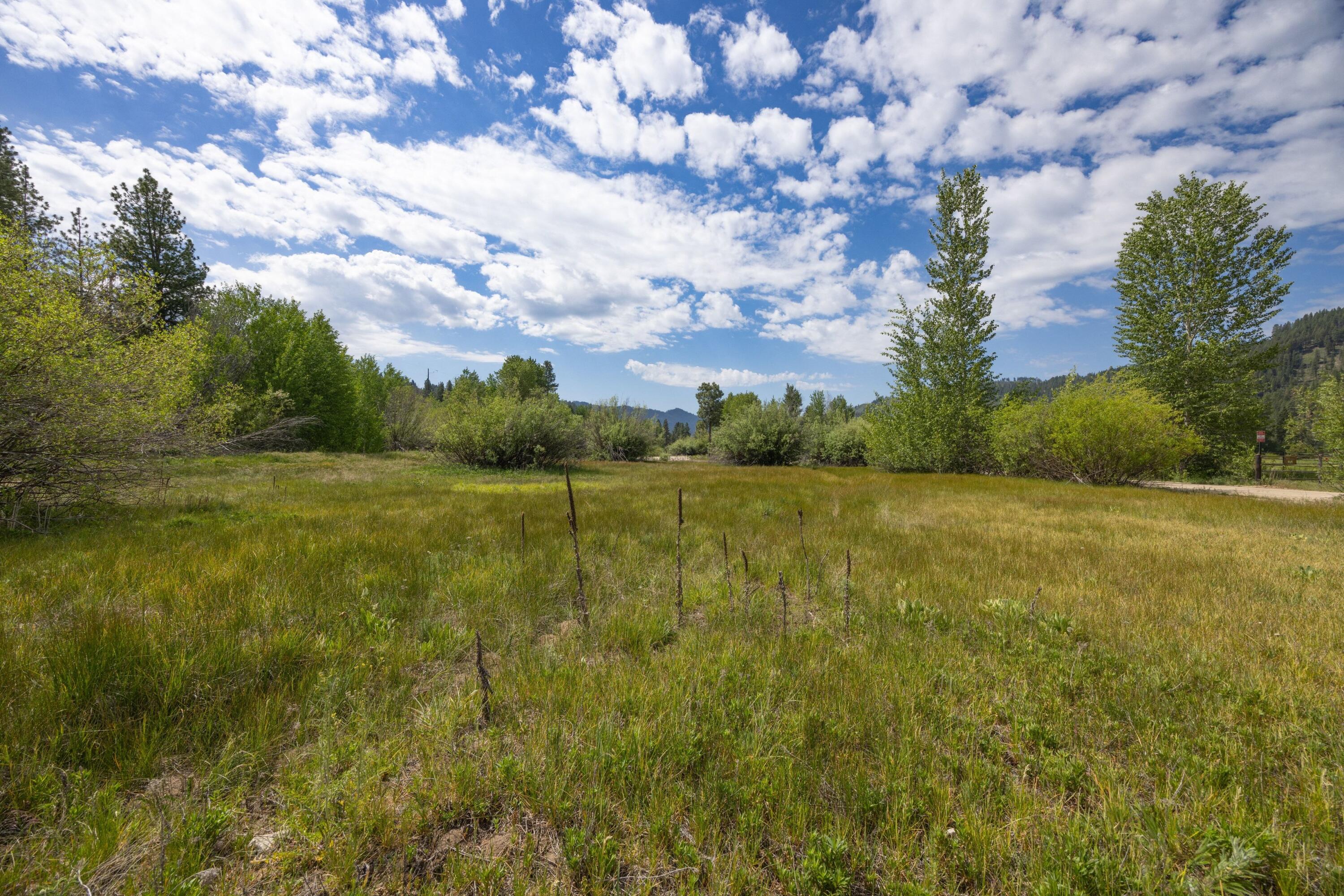 Lot 51 Elk Valley Property Photo 7