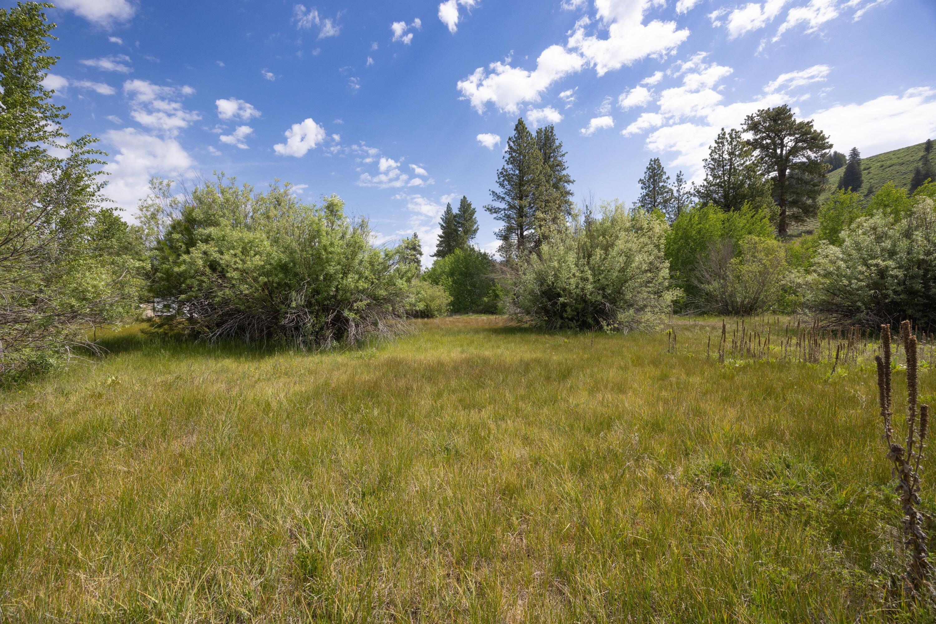 Lot 51 Elk Valley Property Photo 15