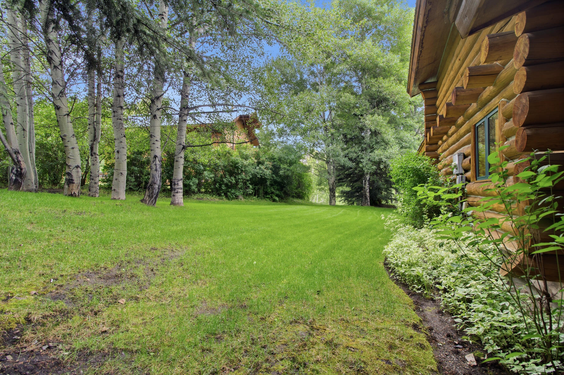 246 Timberline Rd Property Photo 23