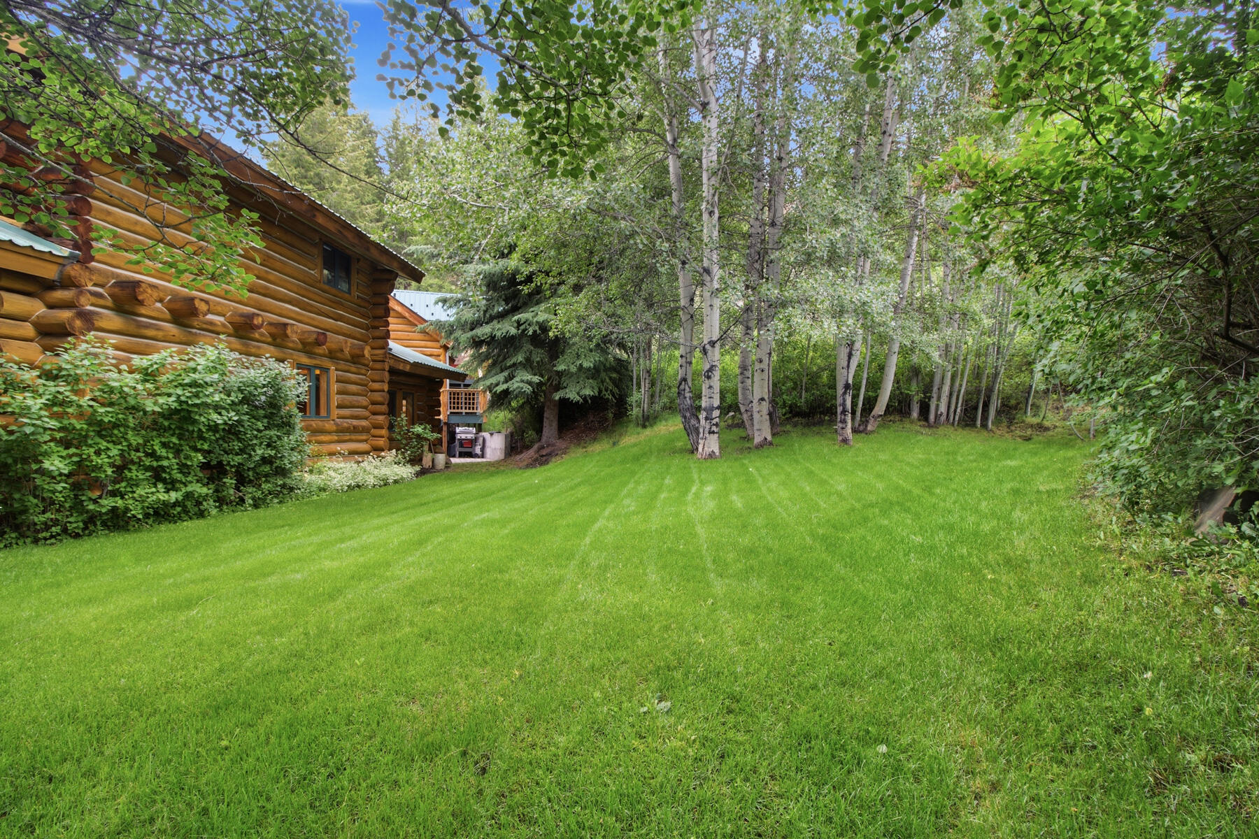 246 Timberline Rd Property Photo 25