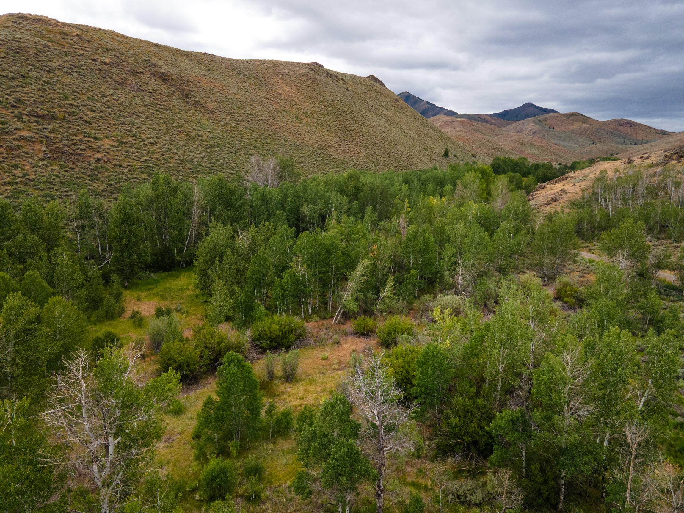 135 Bullion Gulch Rd