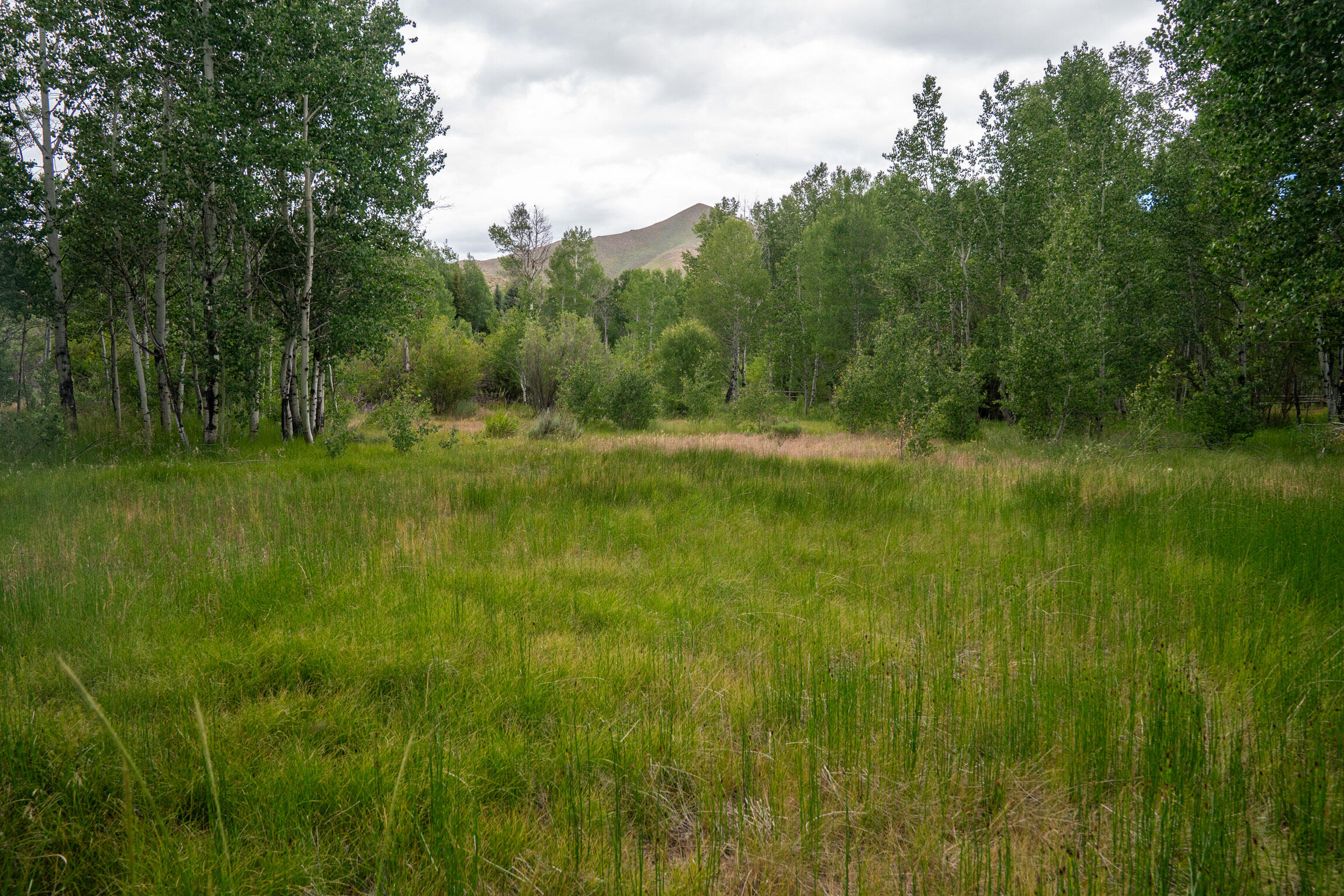 135 Bullion Gulch Rd Property Photo 5