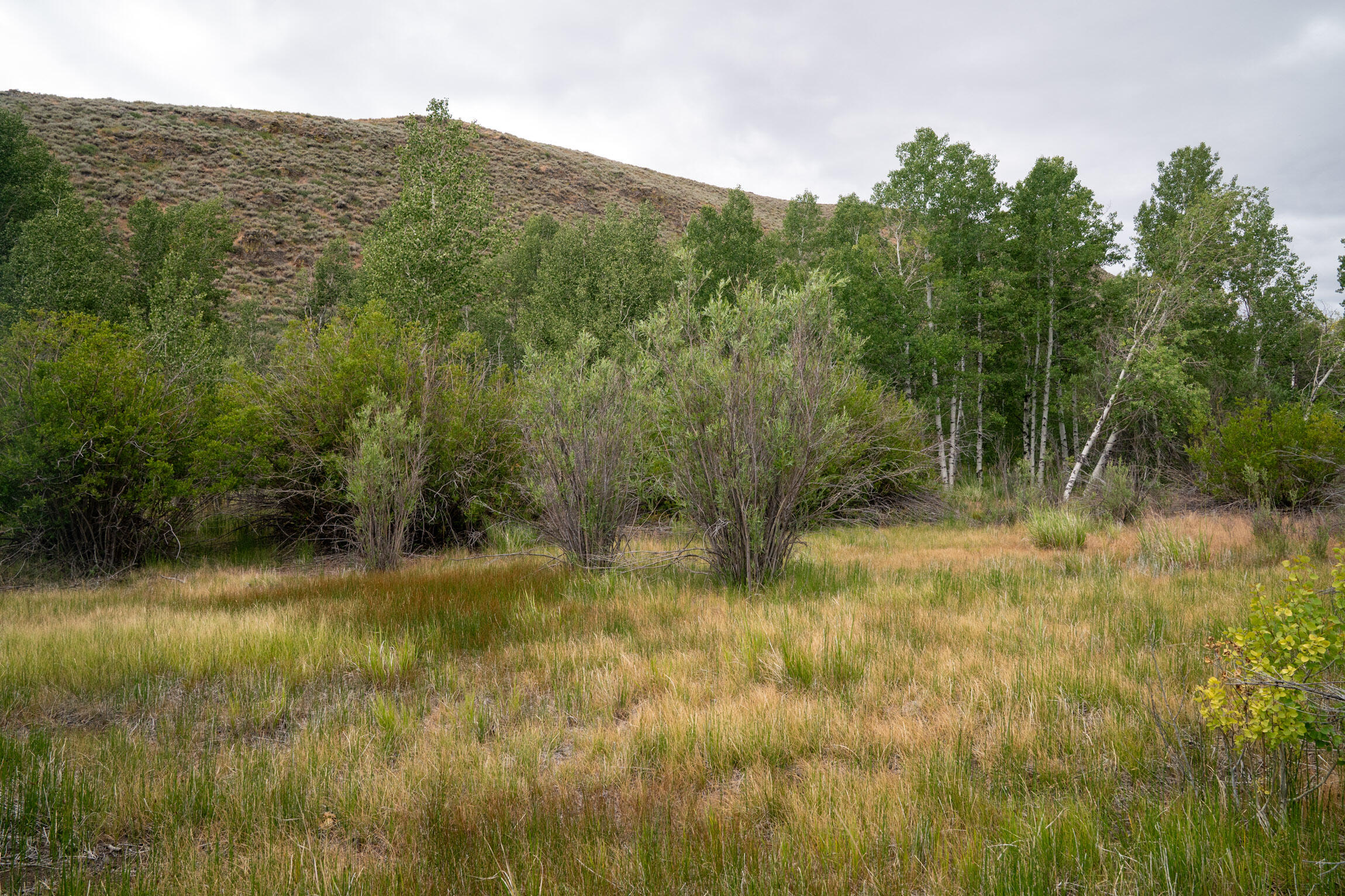 135 Bullion Gulch Rd Property Photo 9