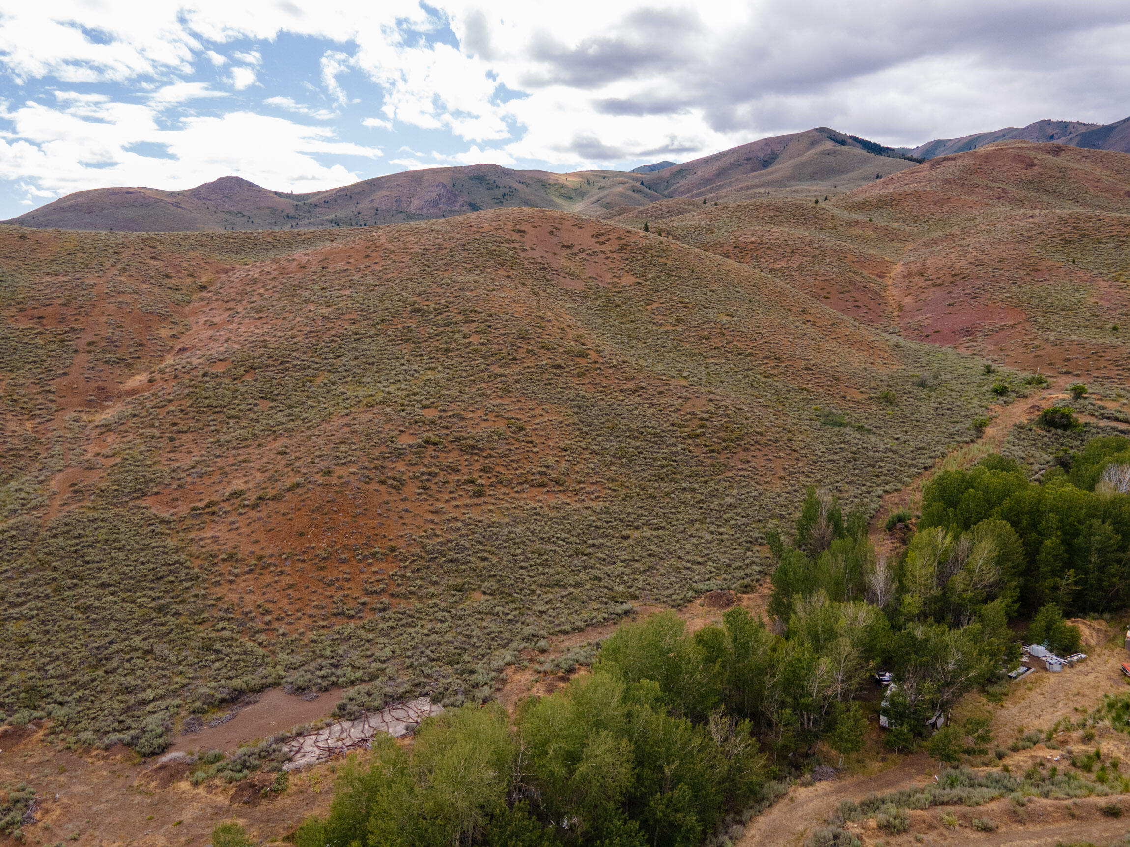 135 Bullion Gulch Rd Property Photo 22