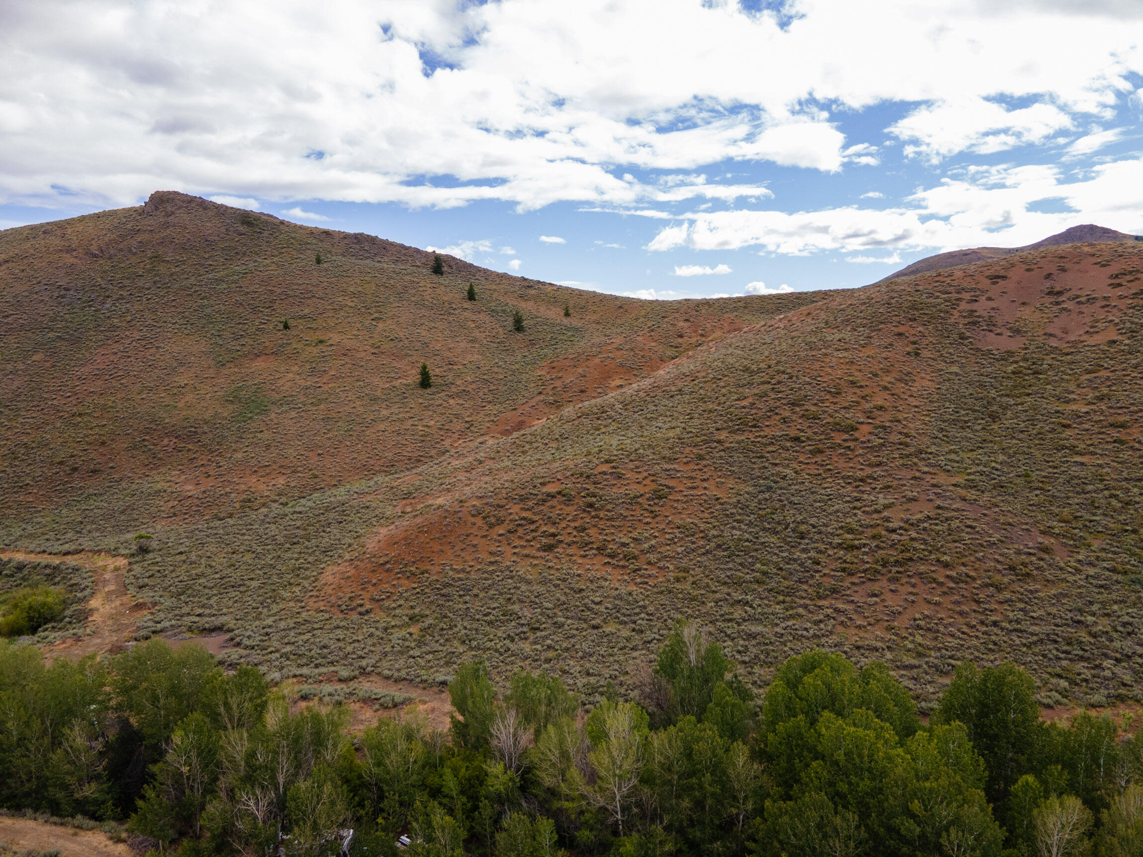 135 Bullion Gulch Rd Property Photo 23