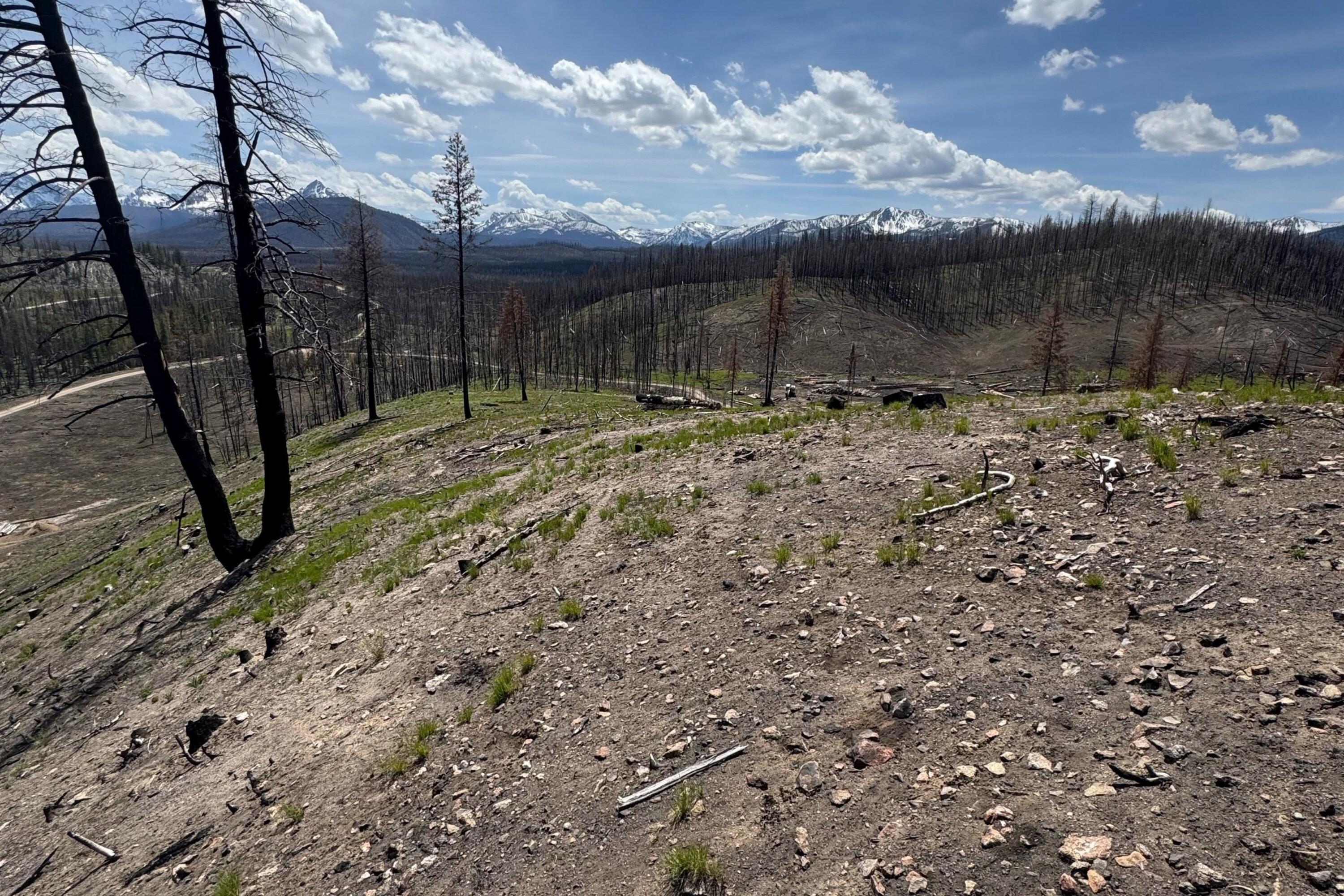 Tbd Valley Creek Rd Property Photo 4