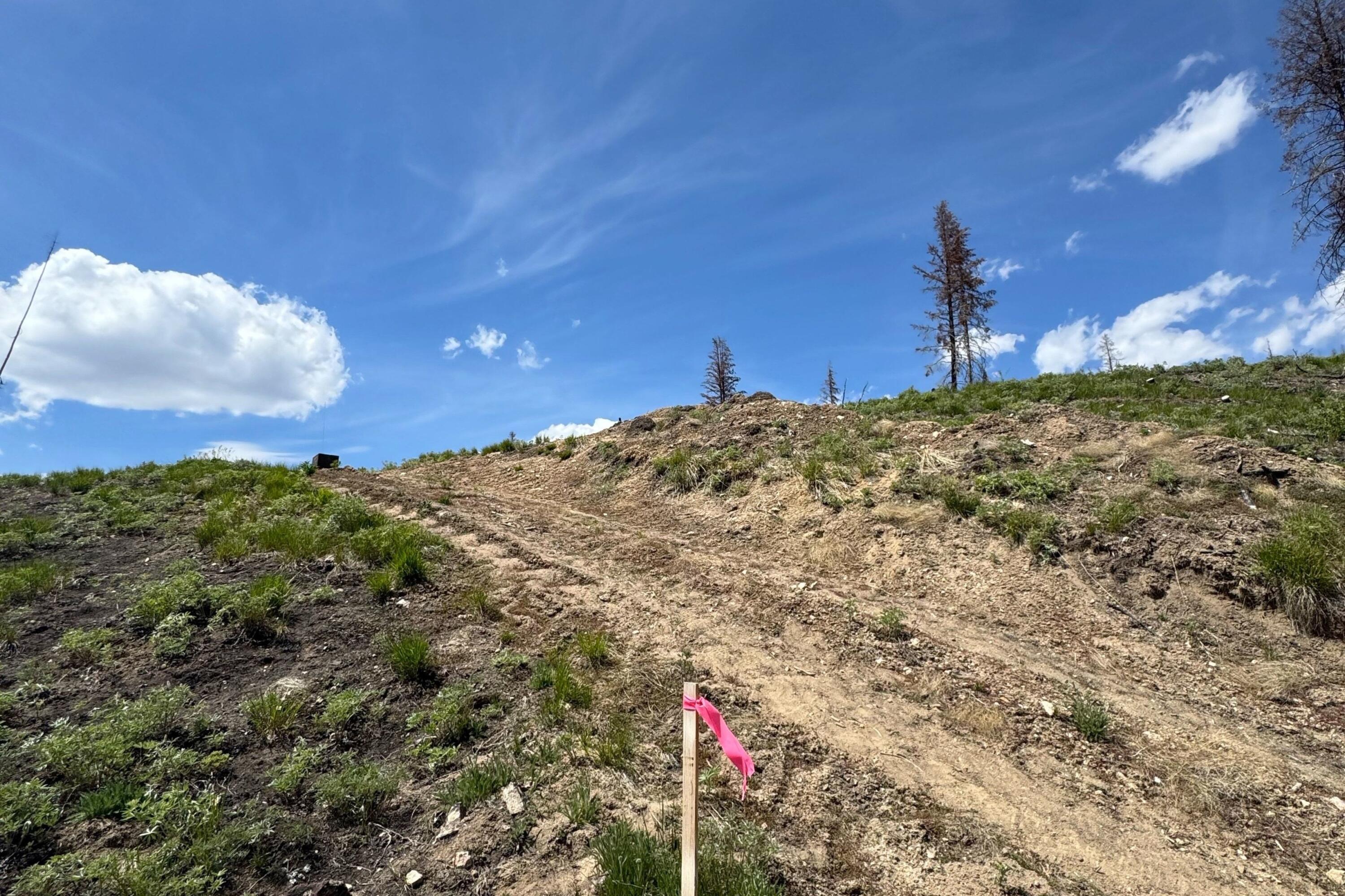 Tbd Valley Creek Rd Property Photo 5